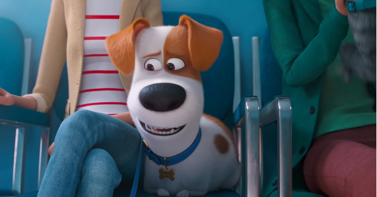 Pets 2 Vita da Animali - Film di animazione 2019 - film famiglia giugno 2019 - Illumination entertainment - The Secret Life of Pets 2
