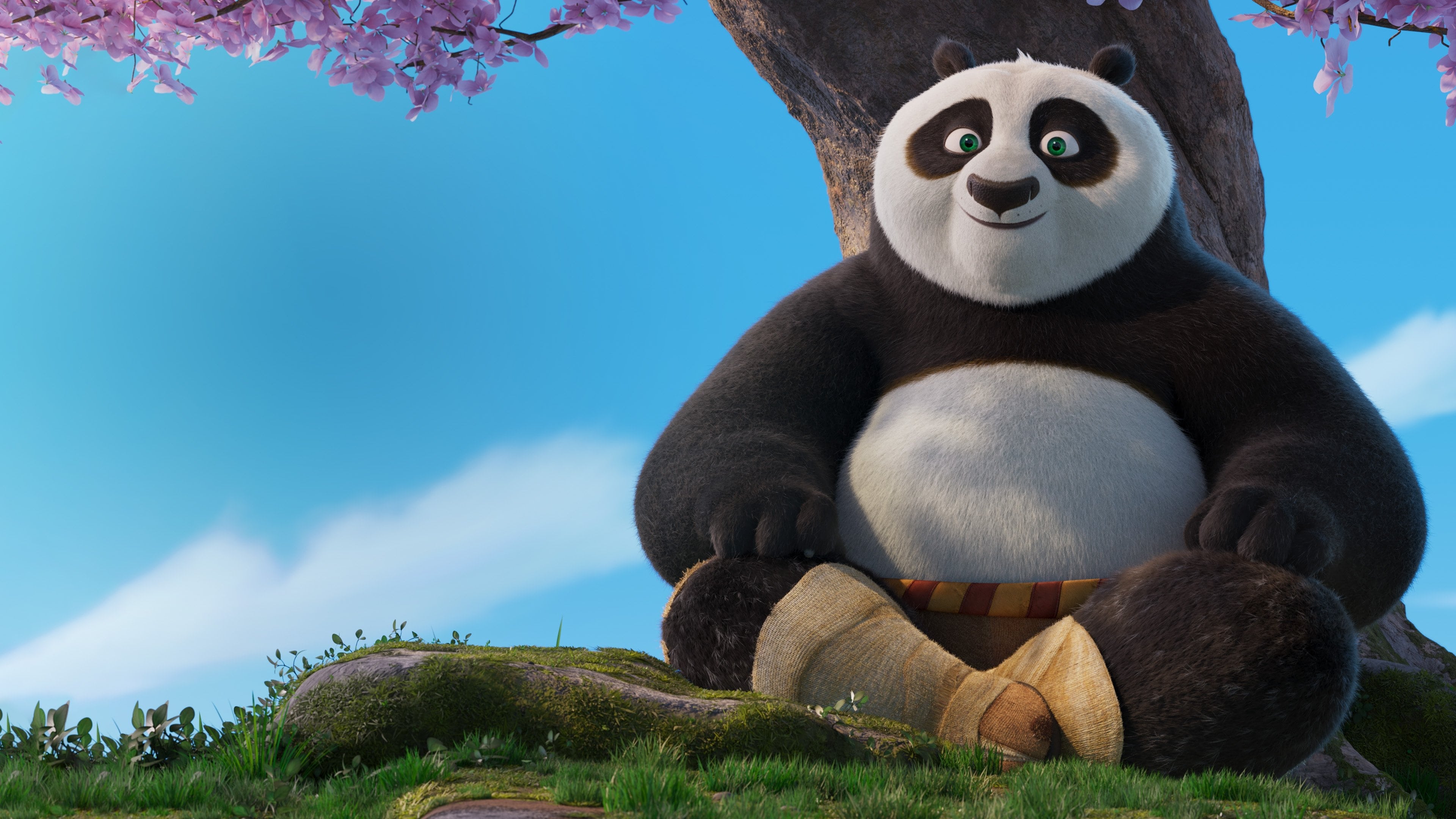 Immagine film Kung Fu Panda 4