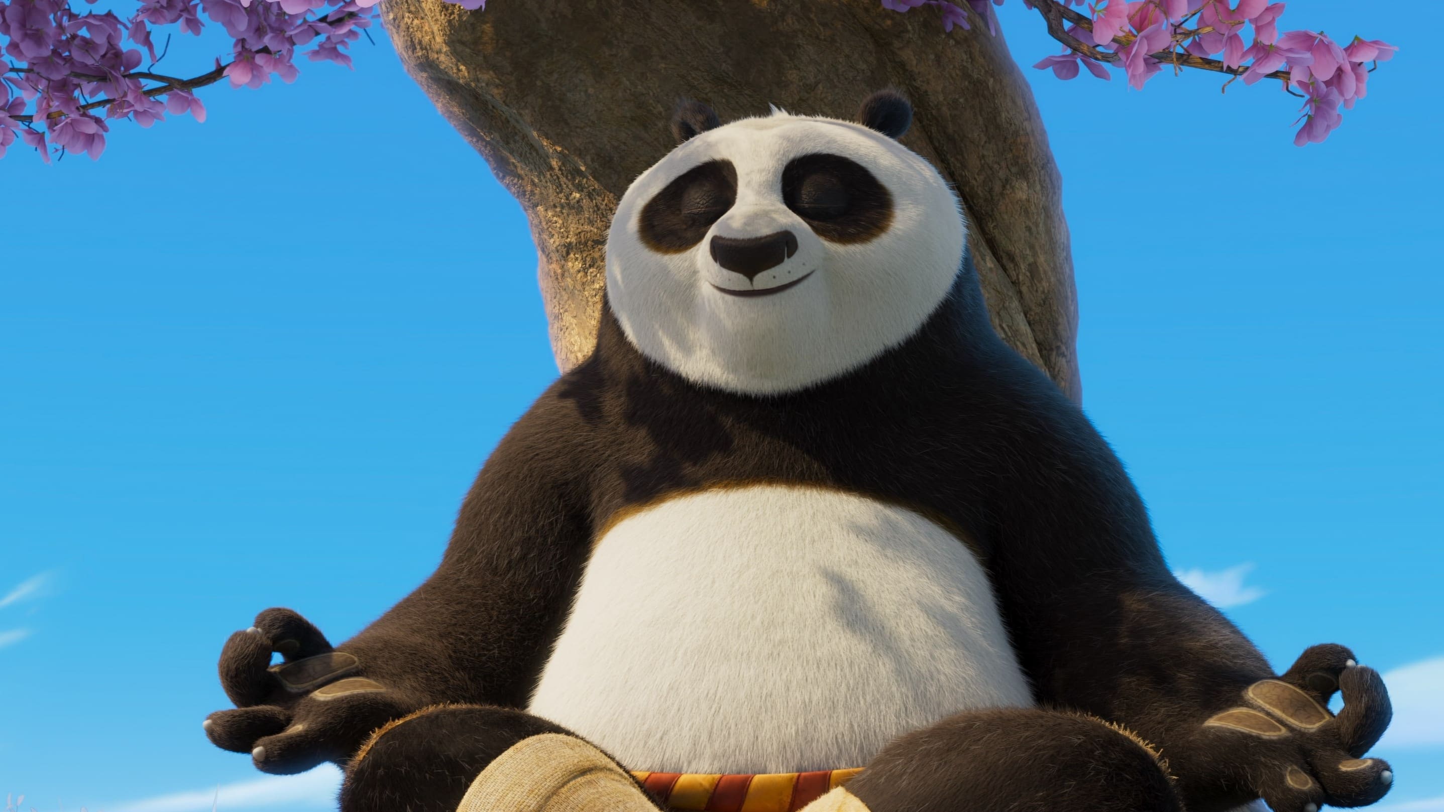 Immagine film Kung Fu Panda 4