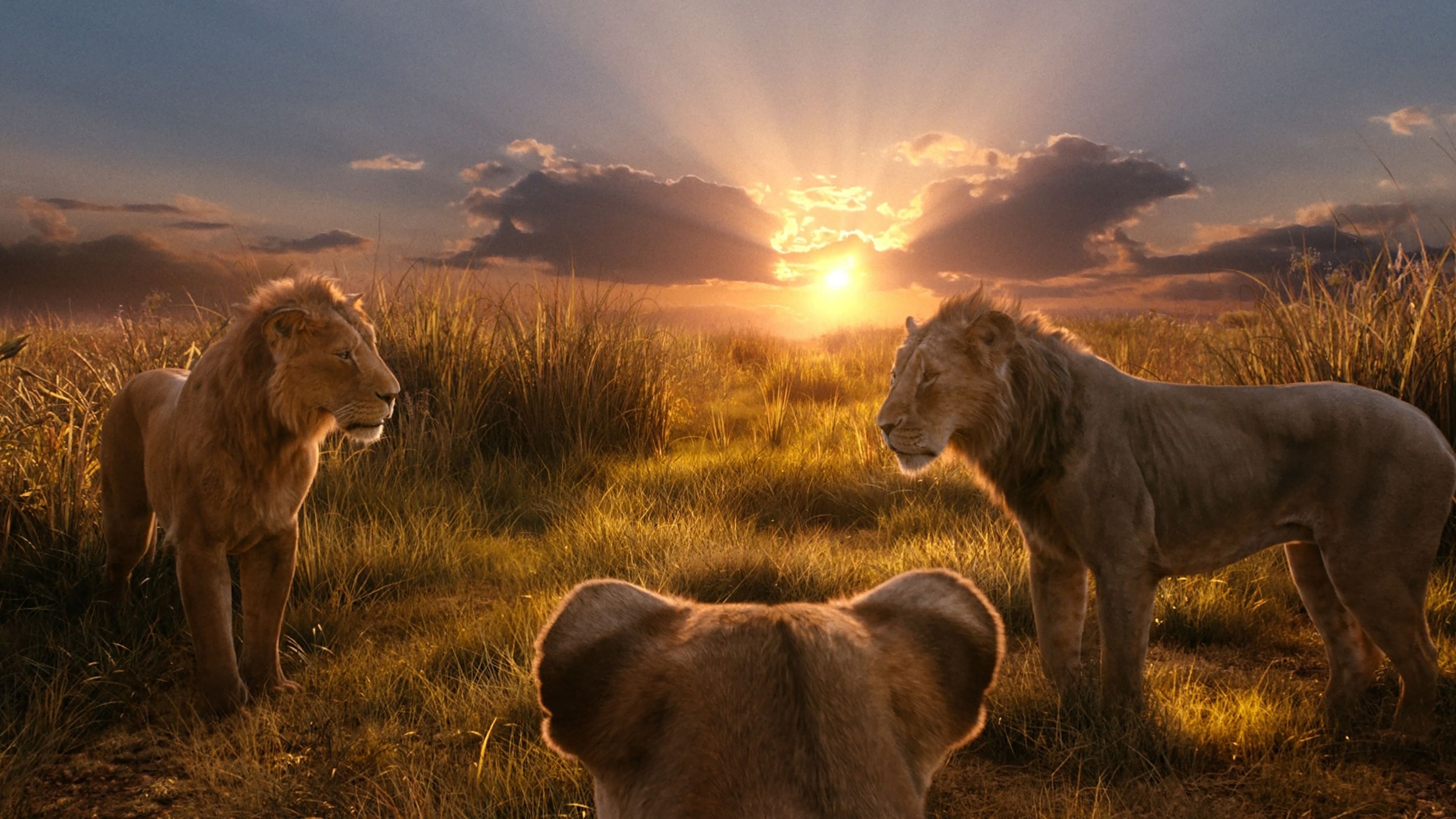 Immagine Mufasa - Il re leone - Poster - Sfondi