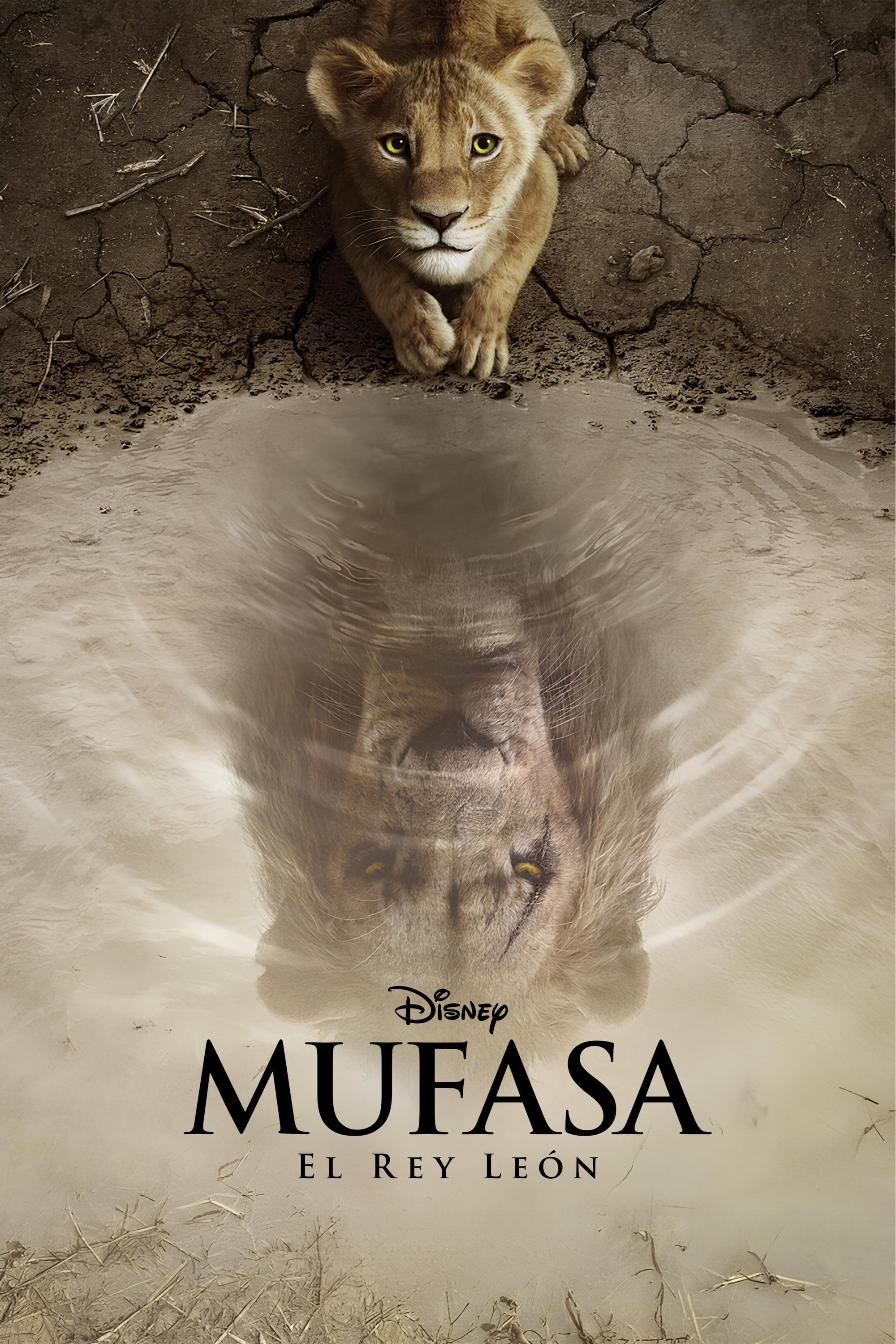 Immagine Mufasa - Il re leone - Poster - Sfondi