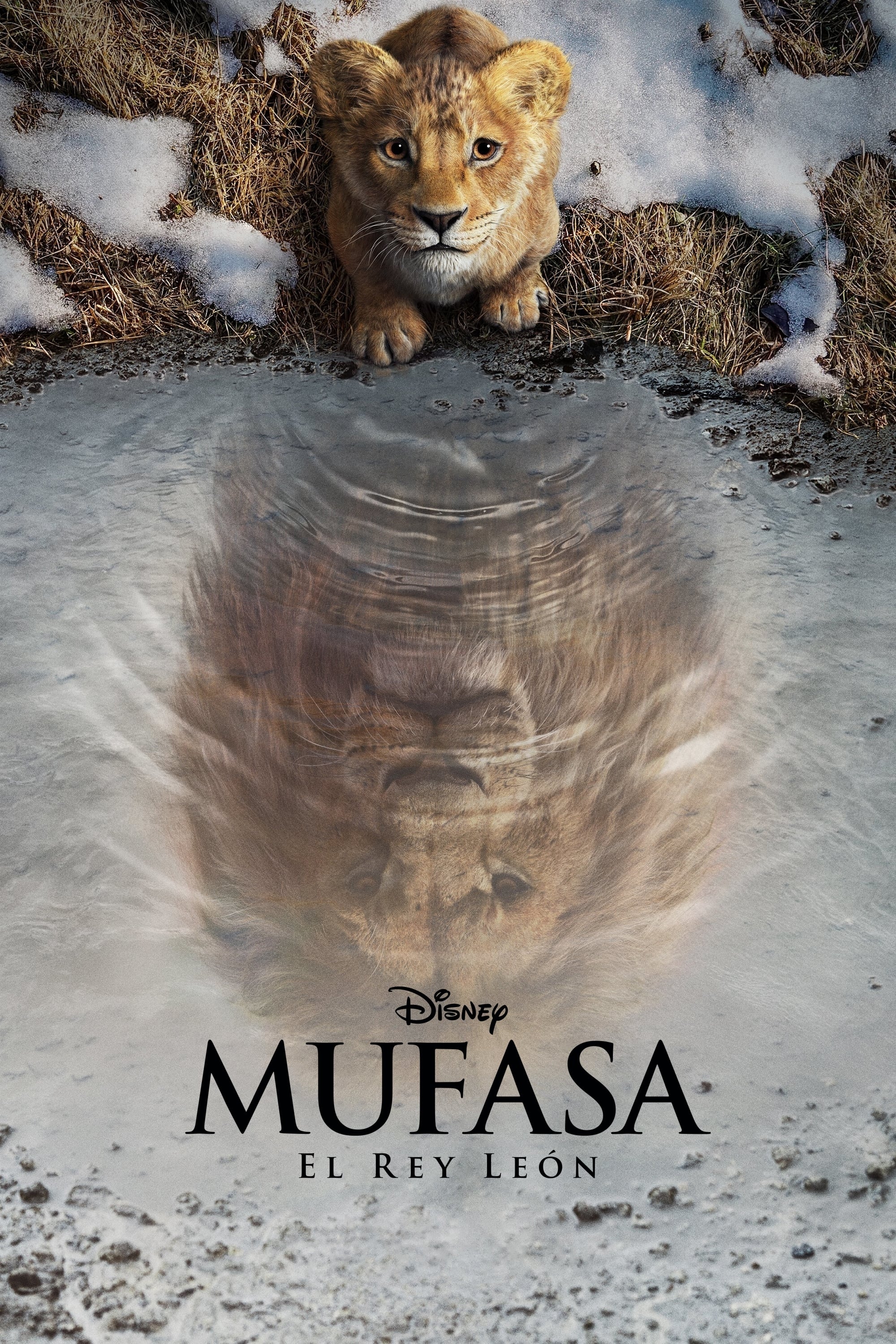 Immagine Mufasa - Il re leone - Poster - Sfondi