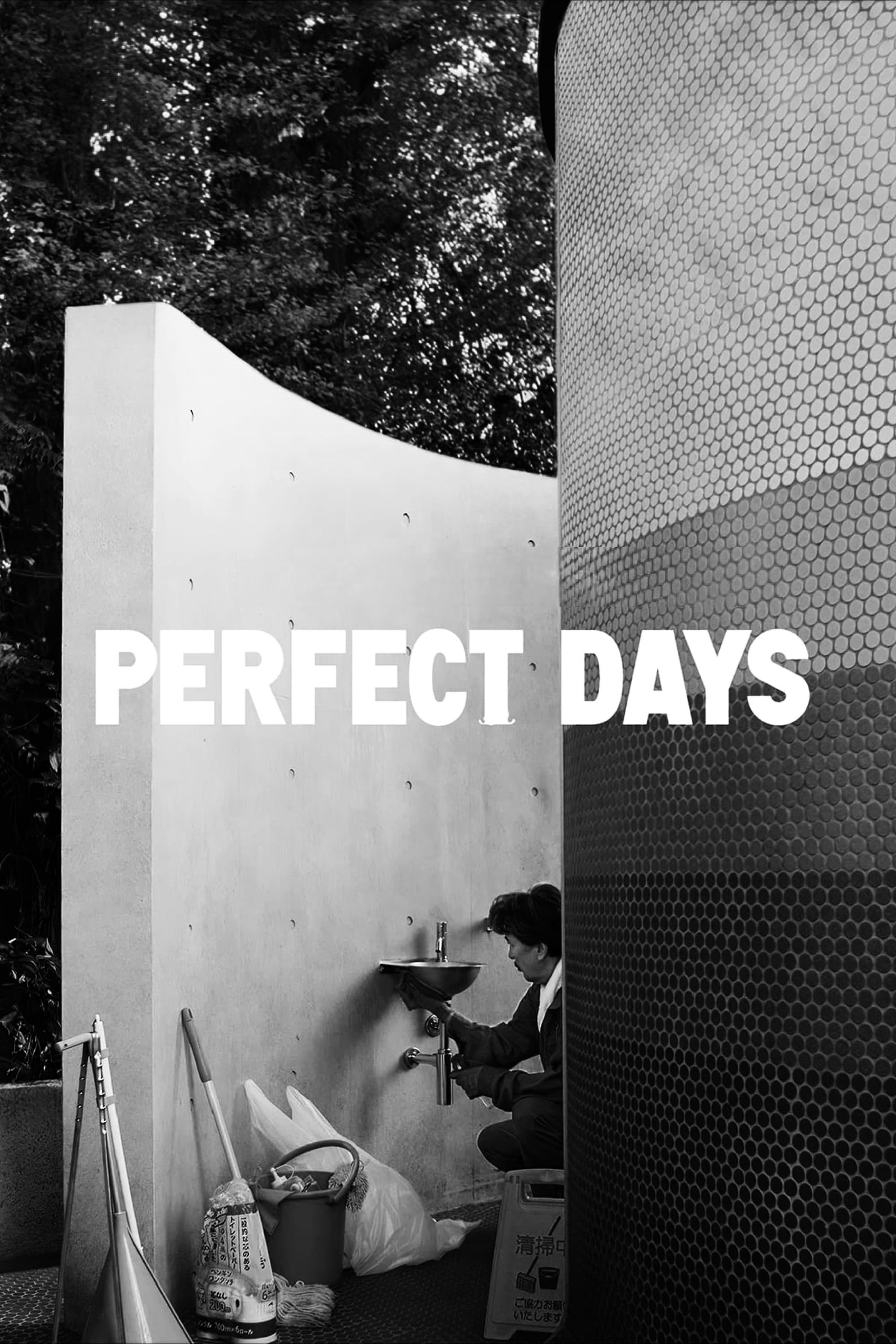 Immagine Perfect Days