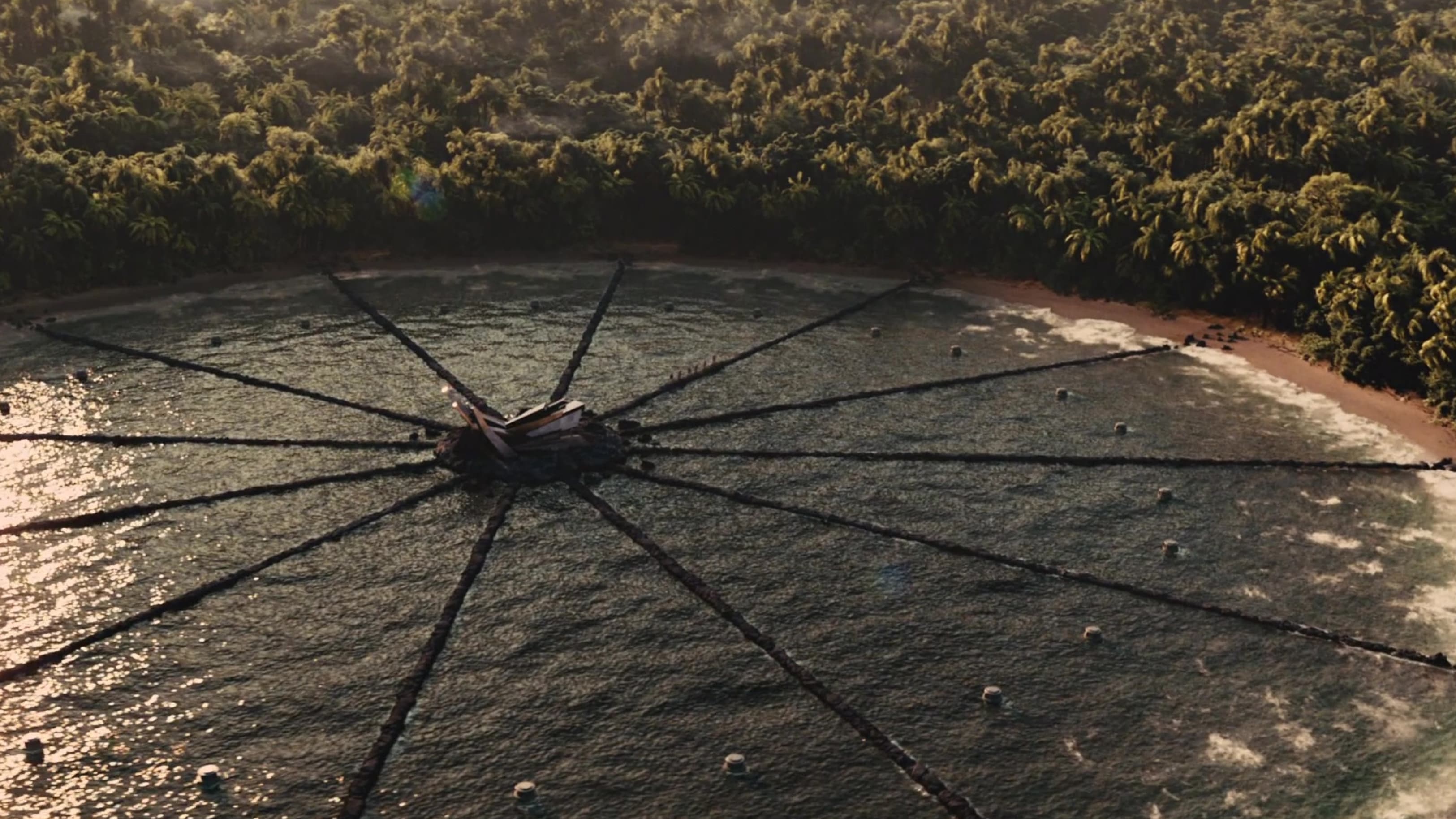 Immagine Hunger Games: La ragazza di fuoco - Poster - Sfondi
