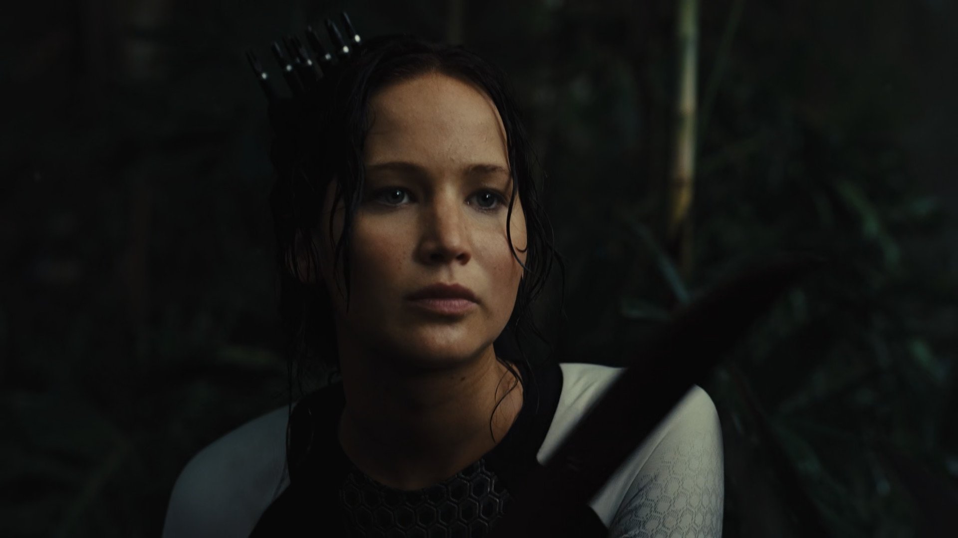 Immagine Hunger Games: La ragazza di fuoco - Poster - Sfondi