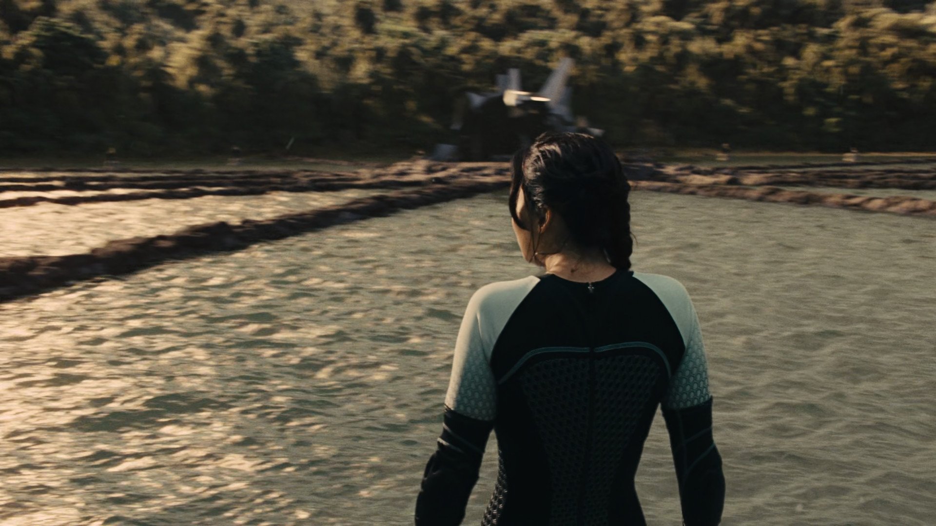 Immagine Hunger Games: La ragazza di fuoco - Poster - Sfondi