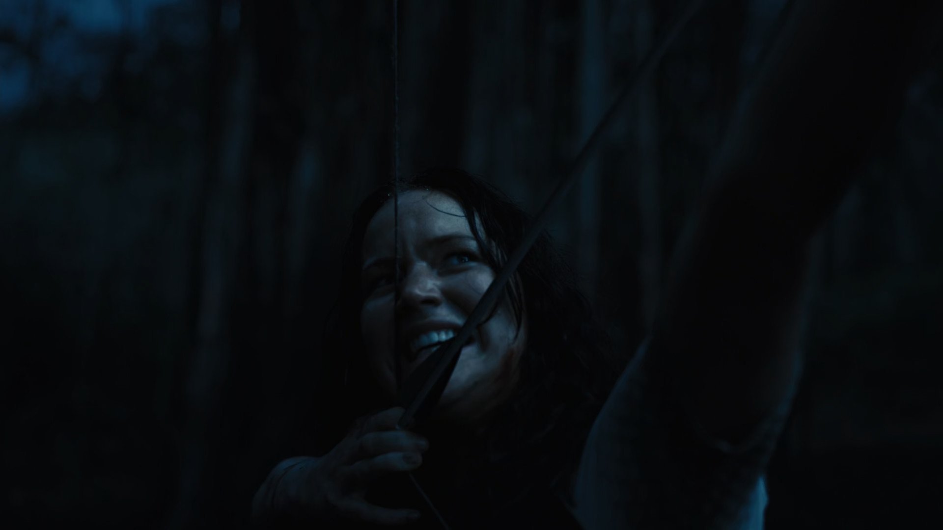Immagine Hunger Games: La ragazza di fuoco - Poster - Sfondi