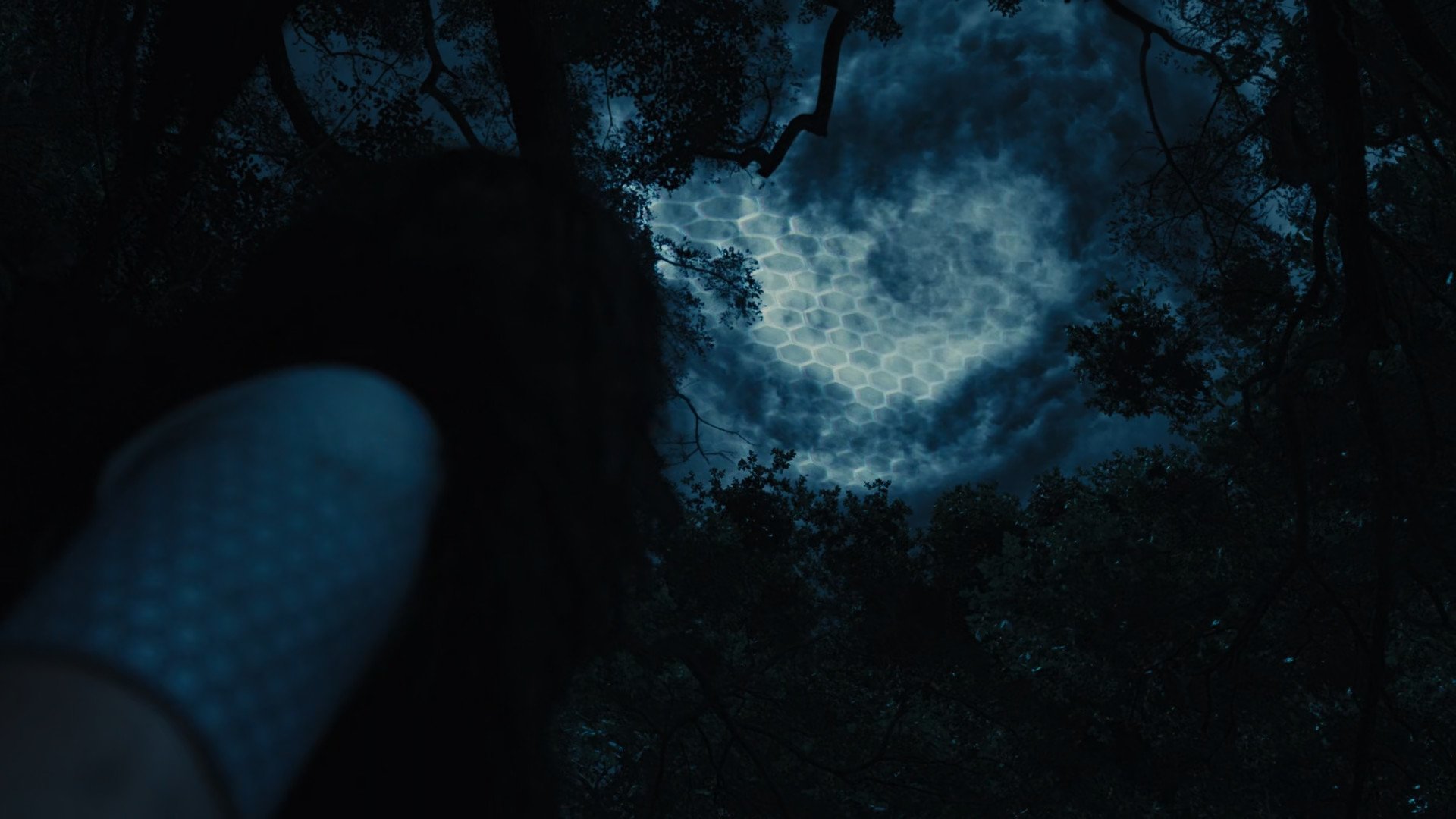 Immagine Hunger Games: La ragazza di fuoco - Poster - Sfondi
