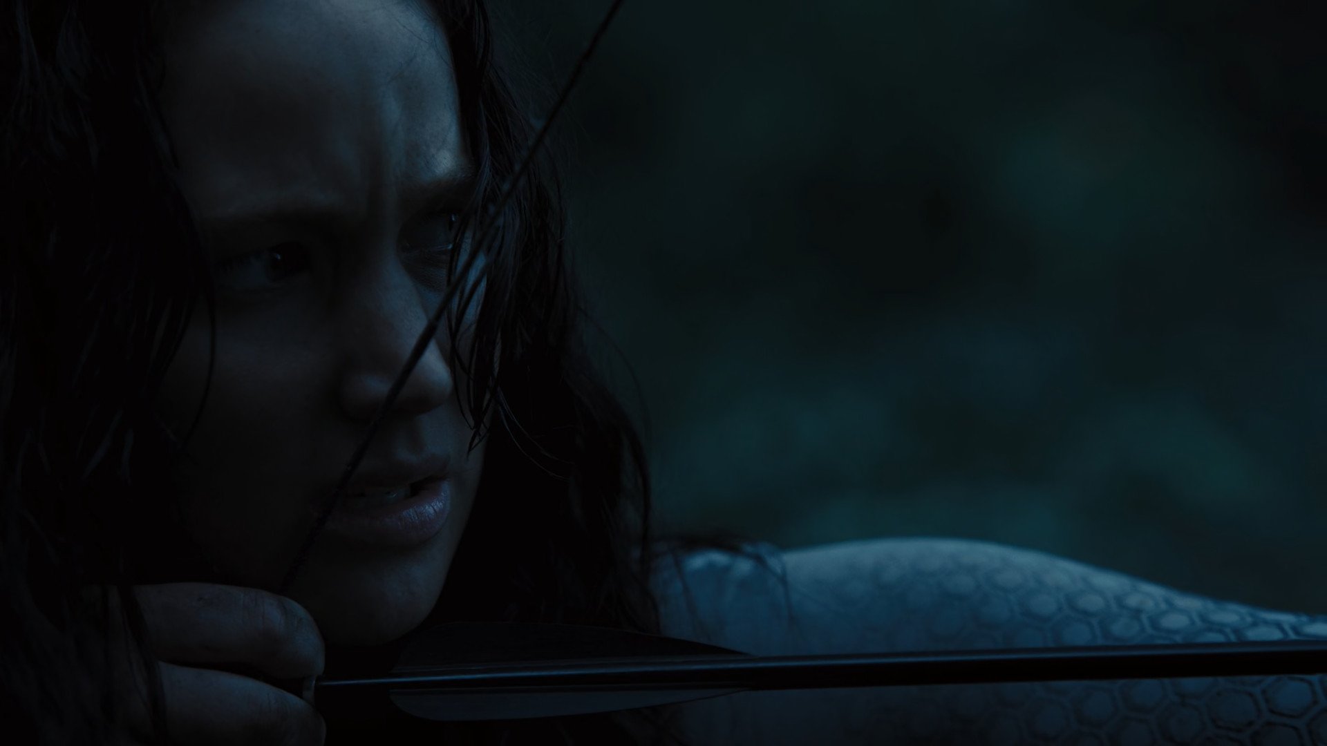 Immagine Hunger Games: La ragazza di fuoco - Poster - Sfondi