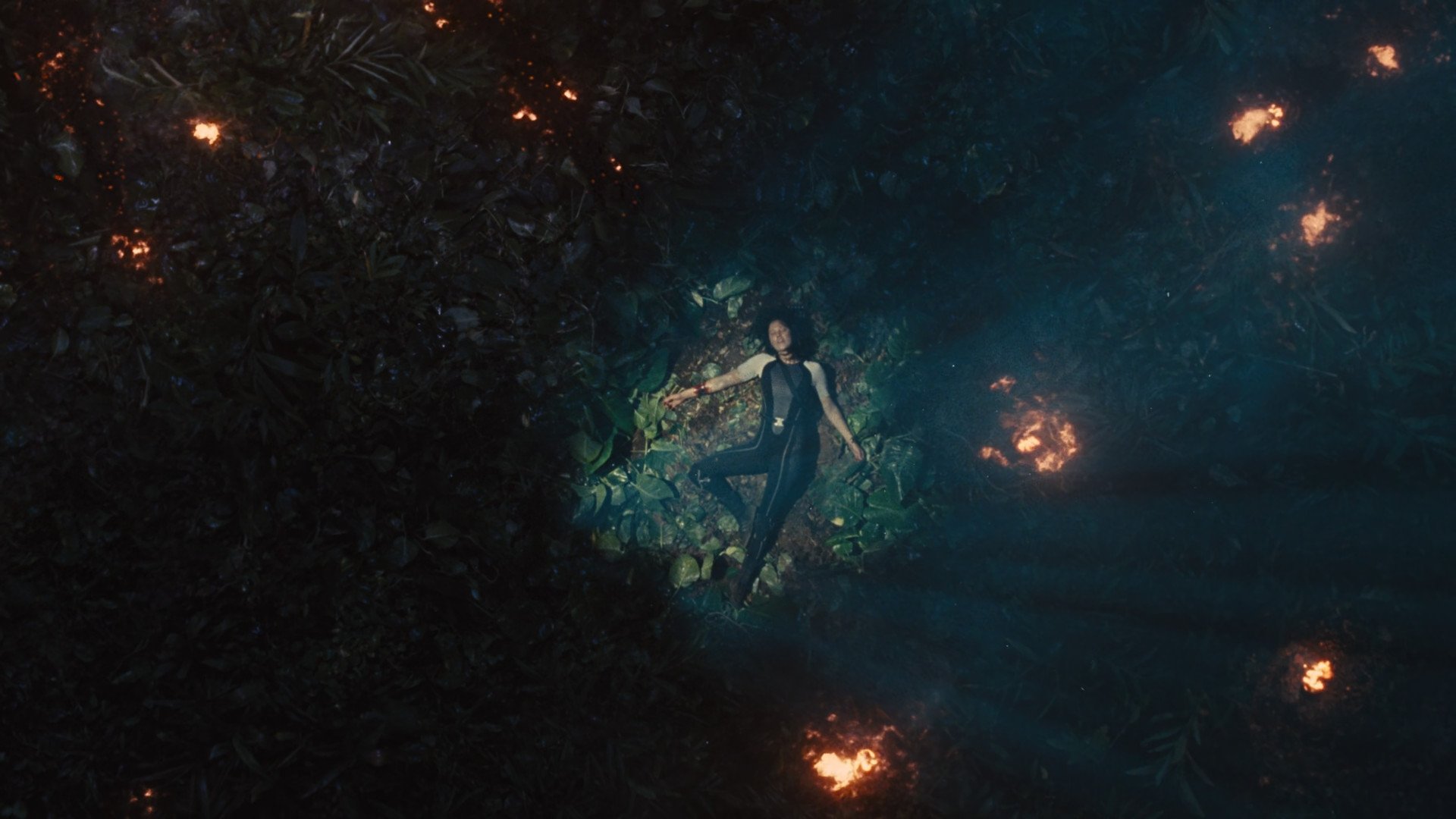 Immagine Hunger Games: La ragazza di fuoco - Poster - Sfondi