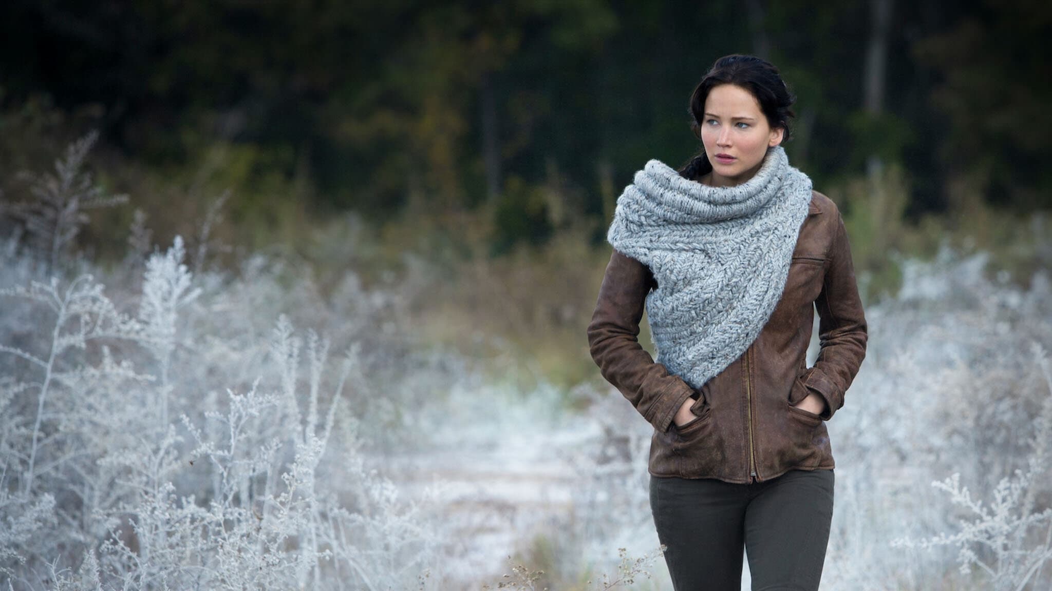 Immagine Hunger Games: La ragazza di fuoco - Poster - Sfondi