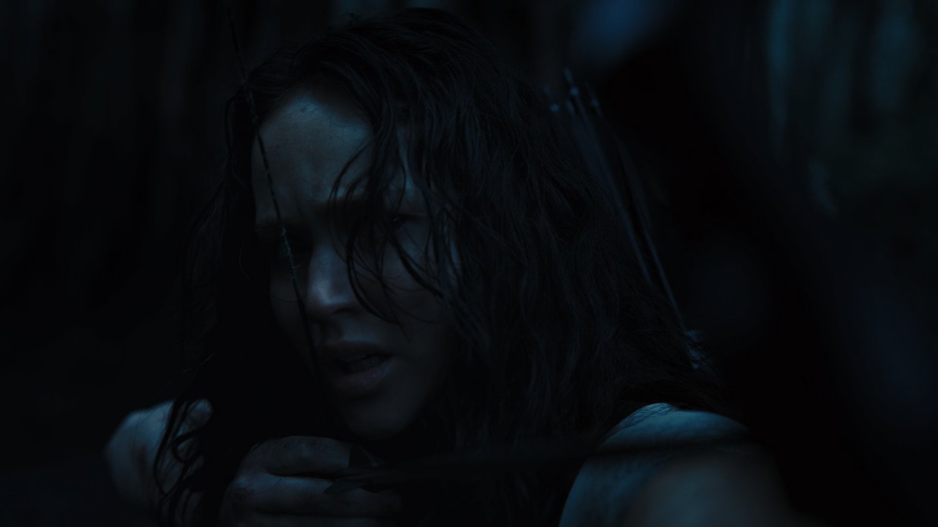 Immagine Hunger Games: La ragazza di fuoco - Poster - Sfondi