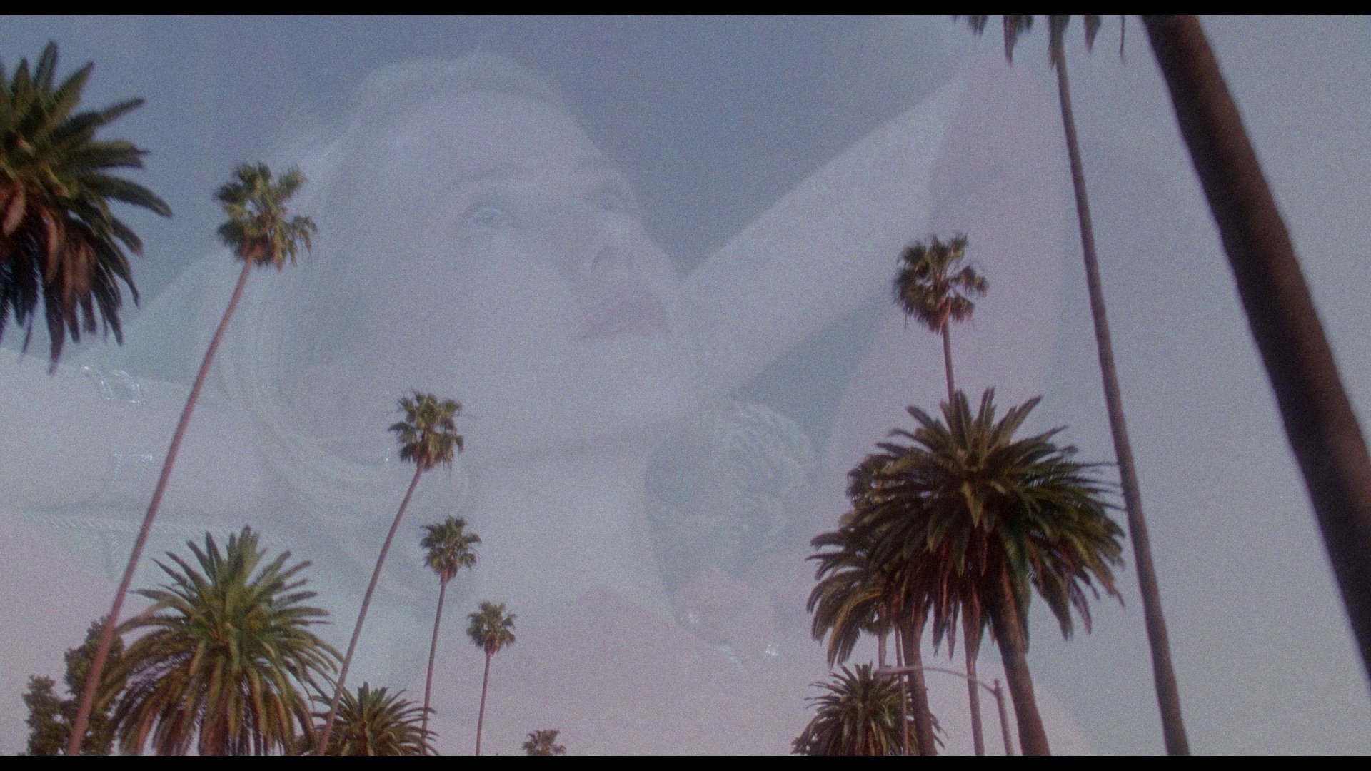 Immagine Mulholland Drive - Poster - Sfondi