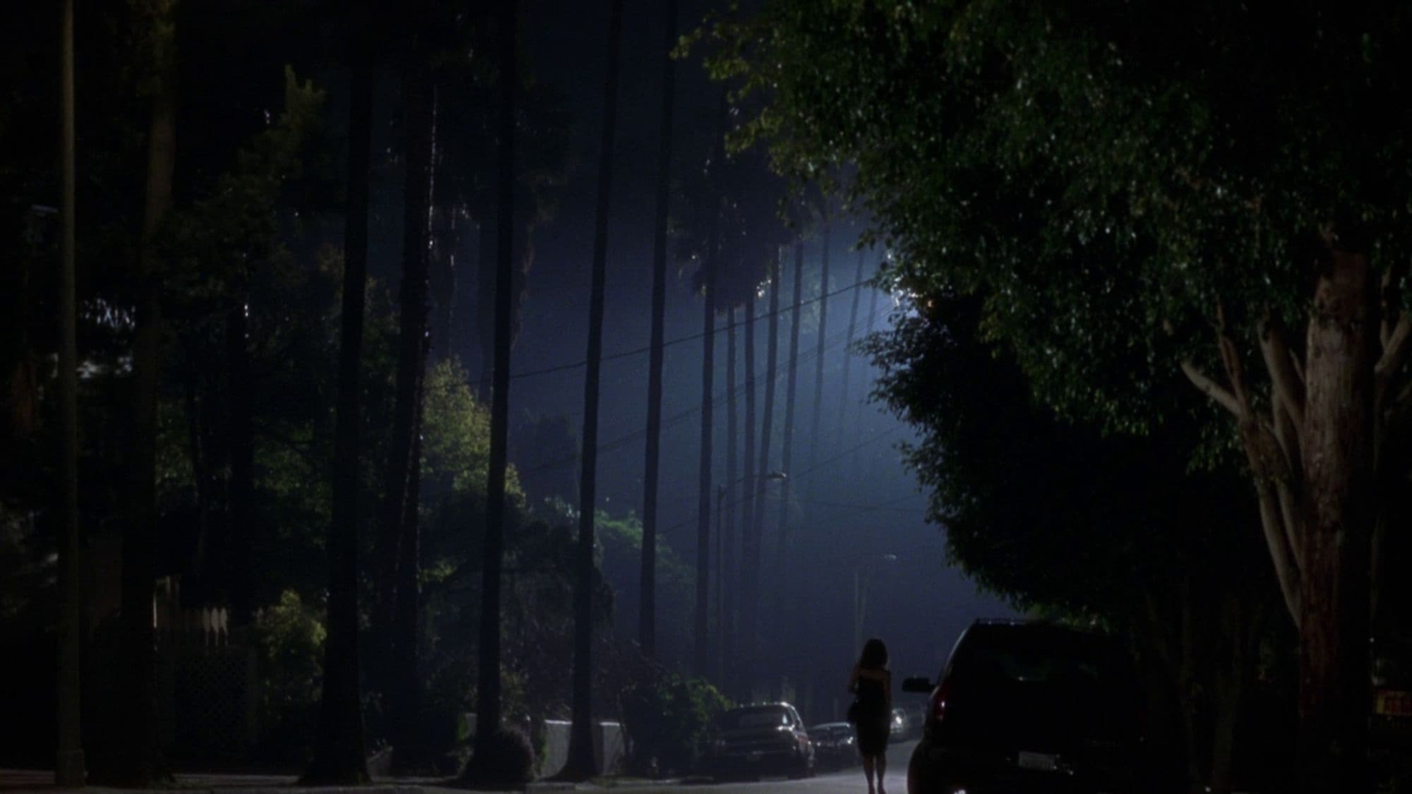 Immagine Mulholland Drive - Poster - Sfondi