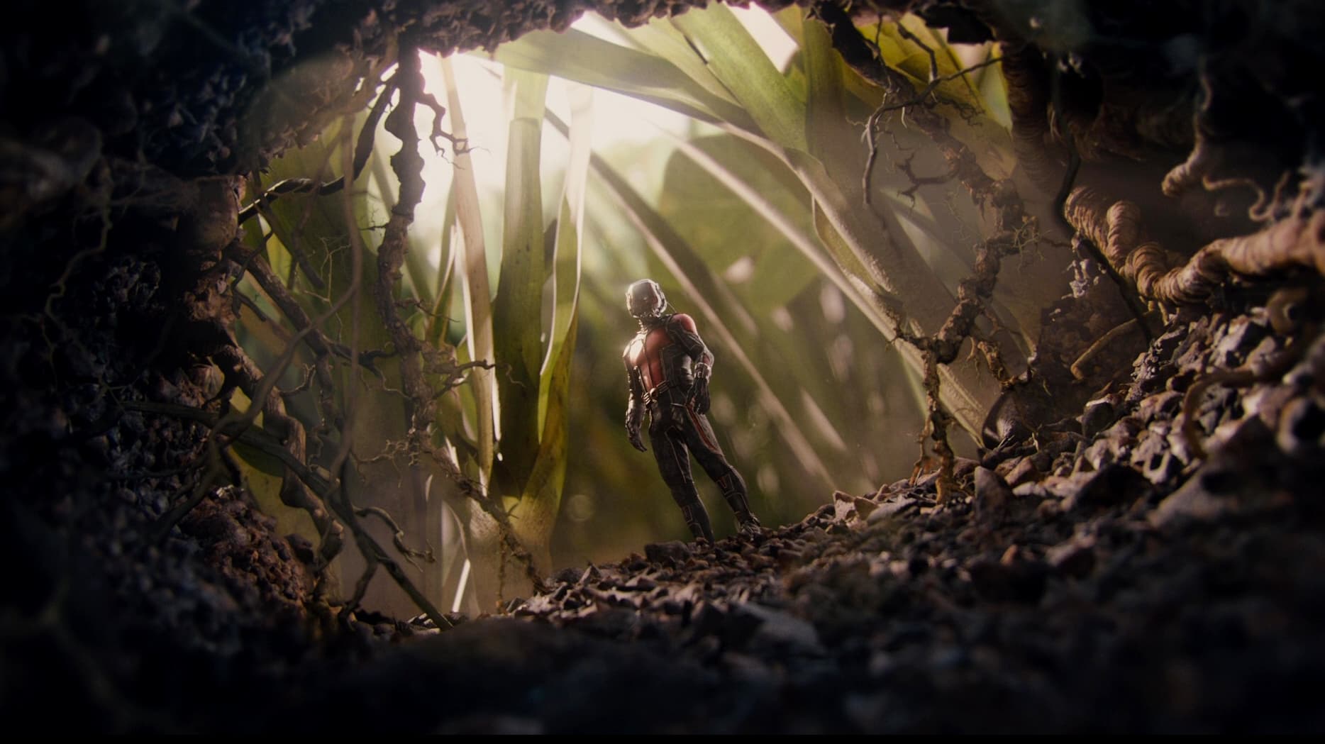 Immagine Ant-Man - Poster - Sfondi