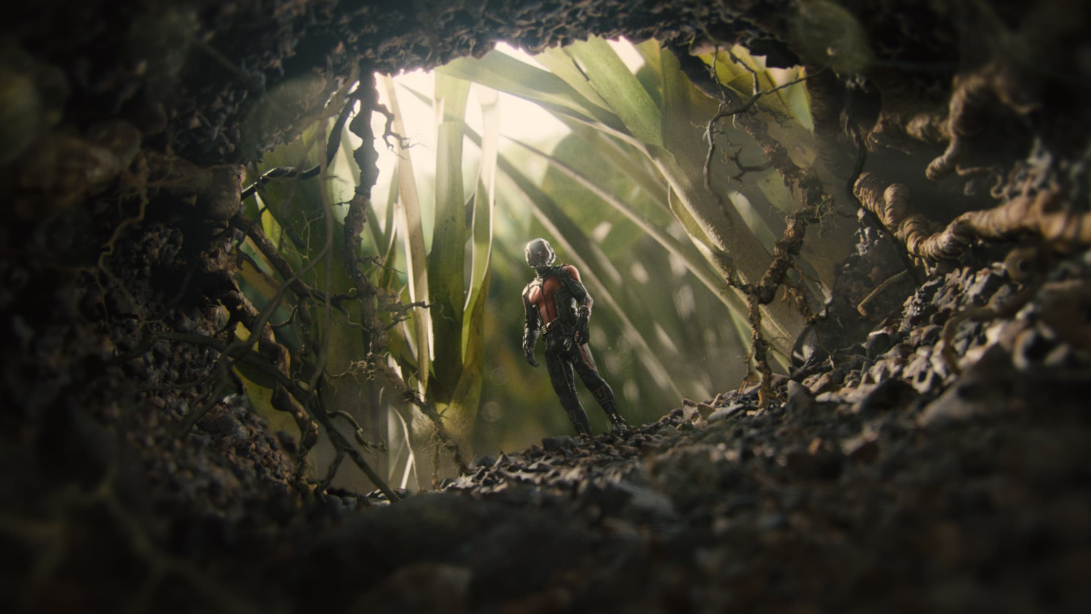 Immagine Ant-Man - Poster - Sfondi