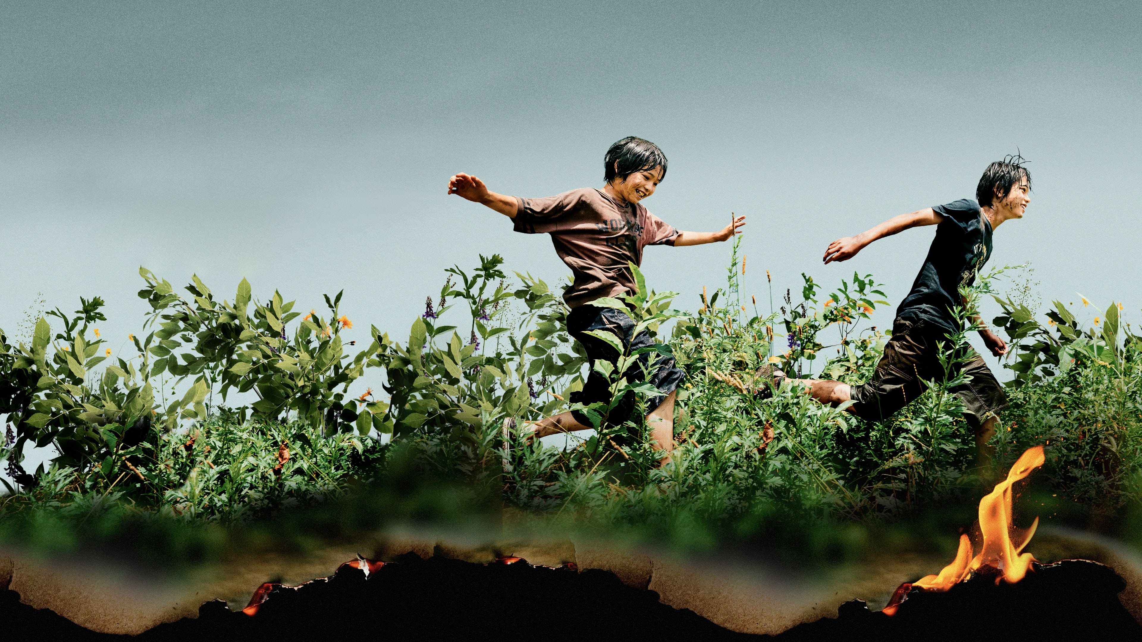 Immagine L'innocenza - Poster - Sfondi