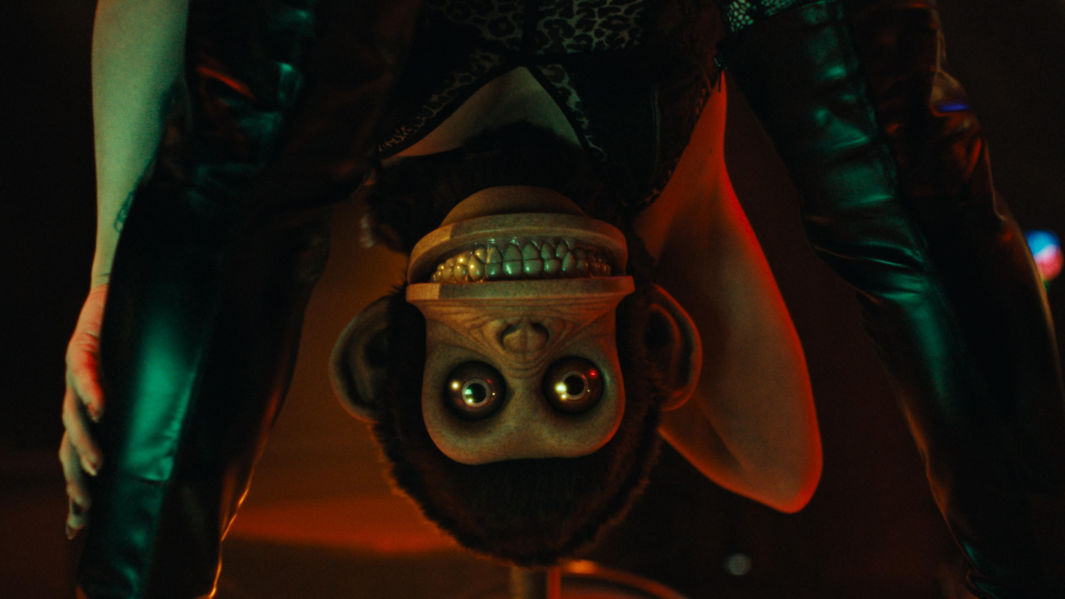 Immagine The Monkey - Poster - Sfondi