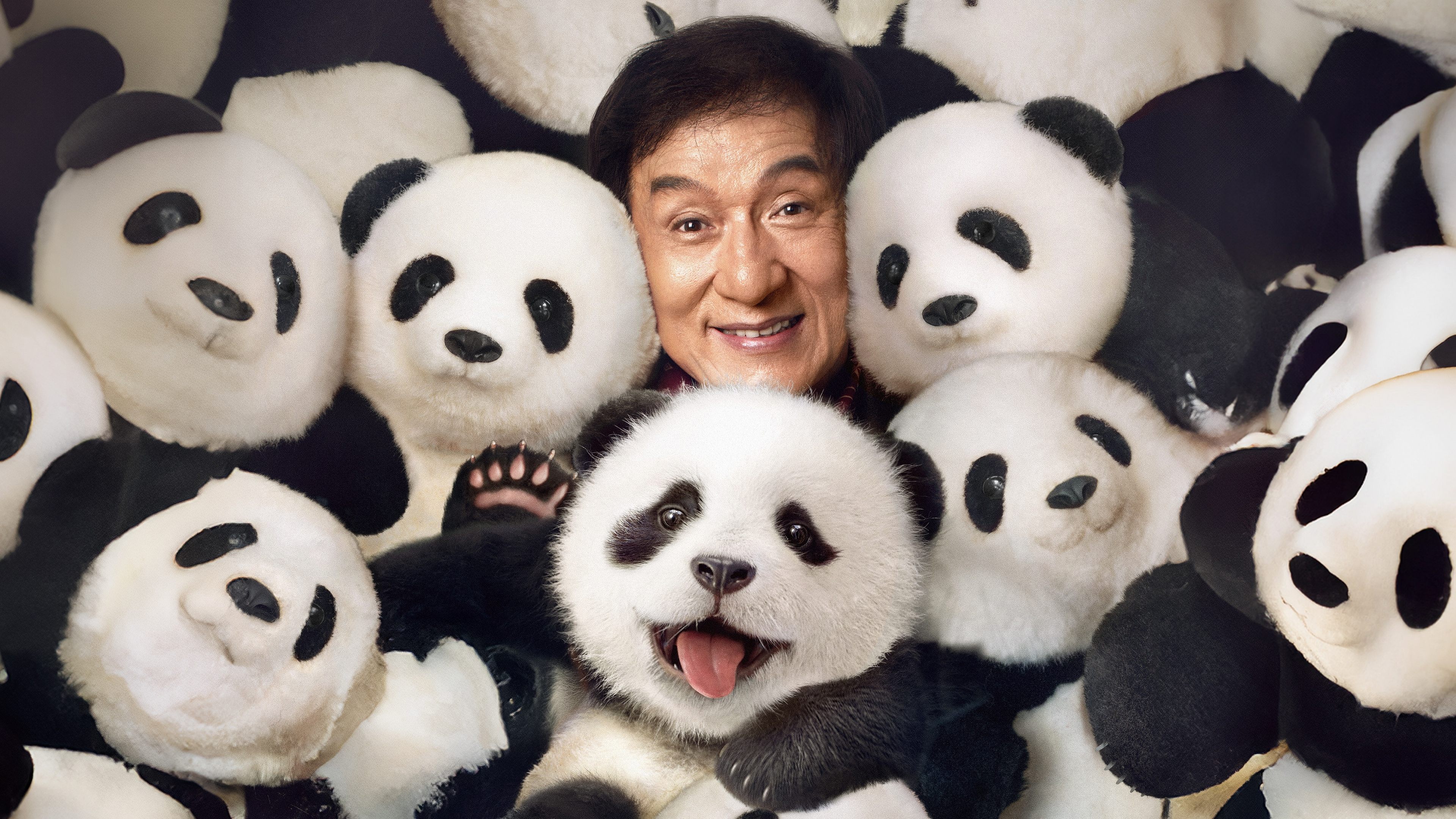 Immagine Panda Plan - Poster - Sfondi
