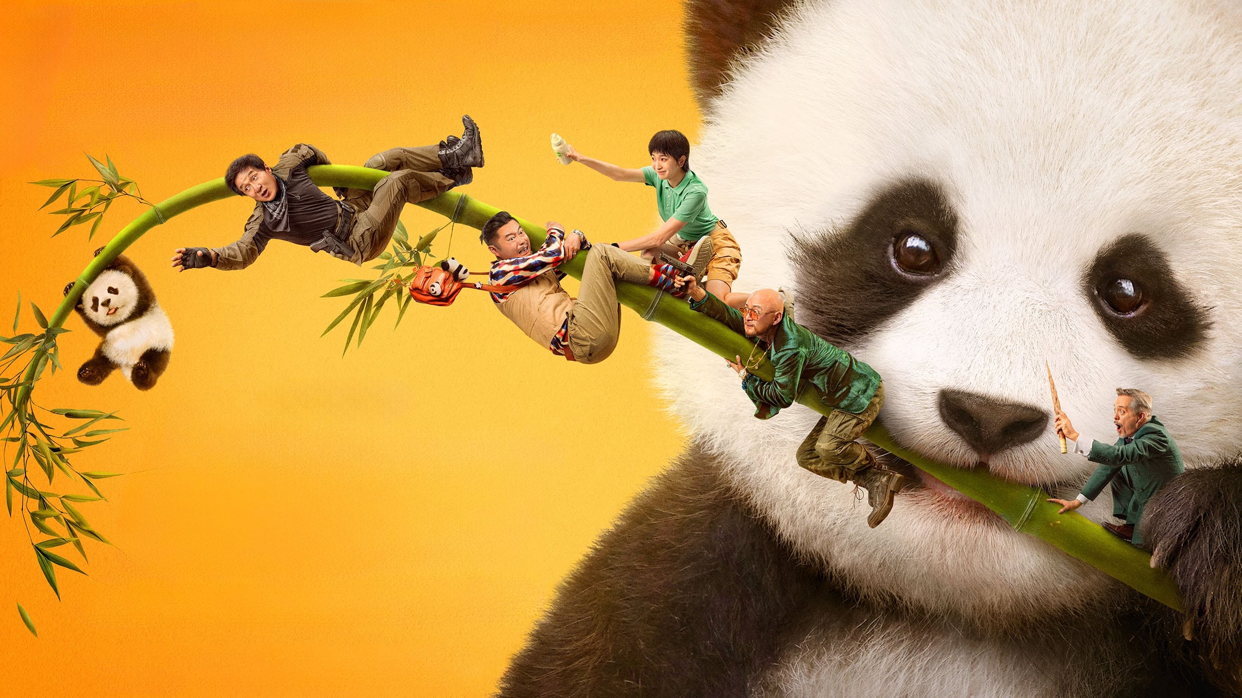 Immagine Panda Plan - Poster - Sfondi