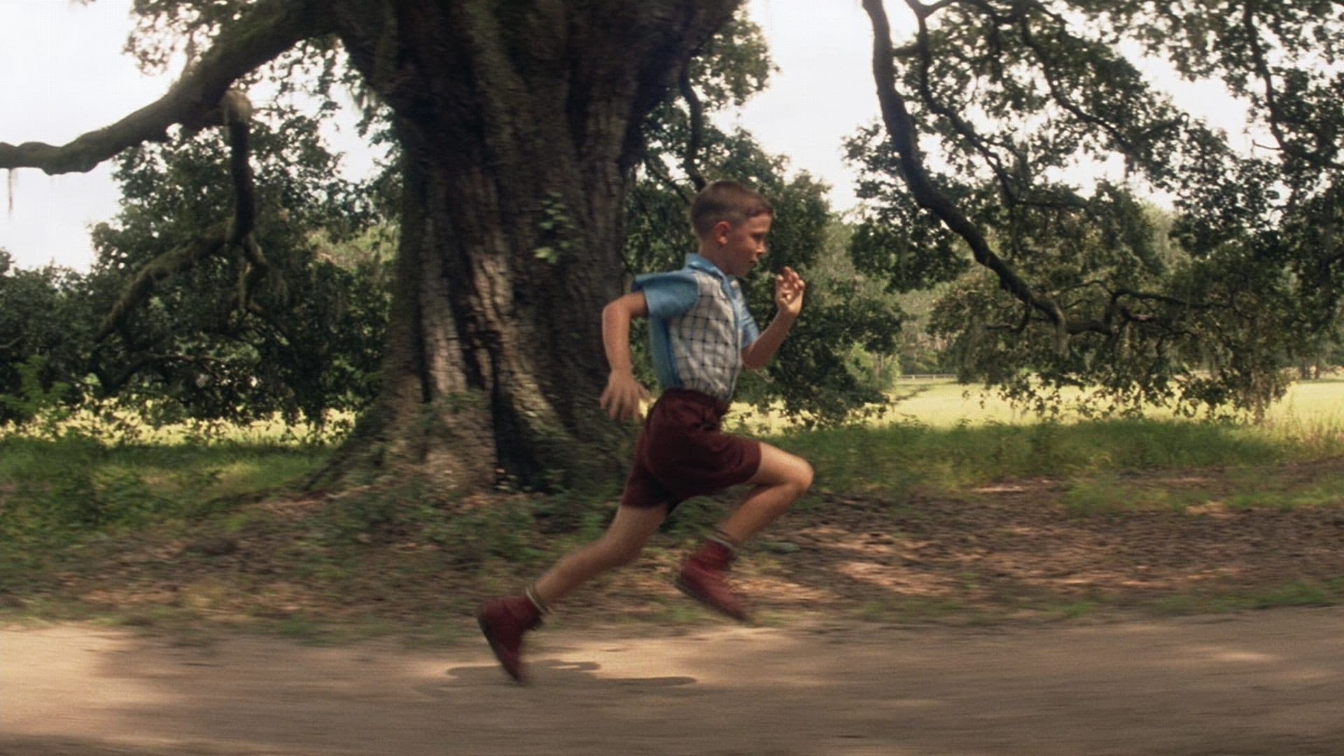 Immagine Forrest Gump - Poster - Sfondi