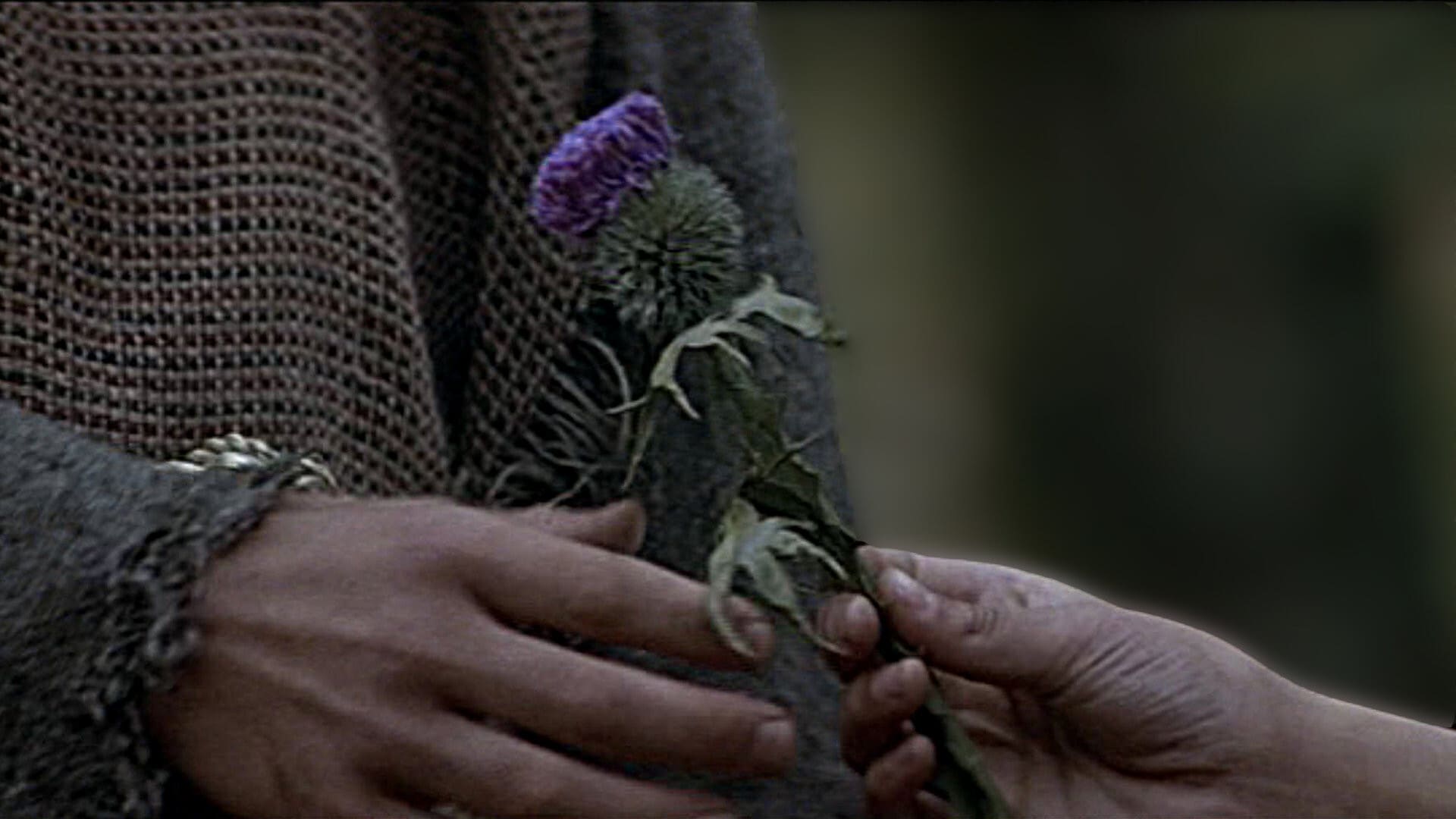 Immagine Braveheart - Cuore impavido - Poster - Sfondi