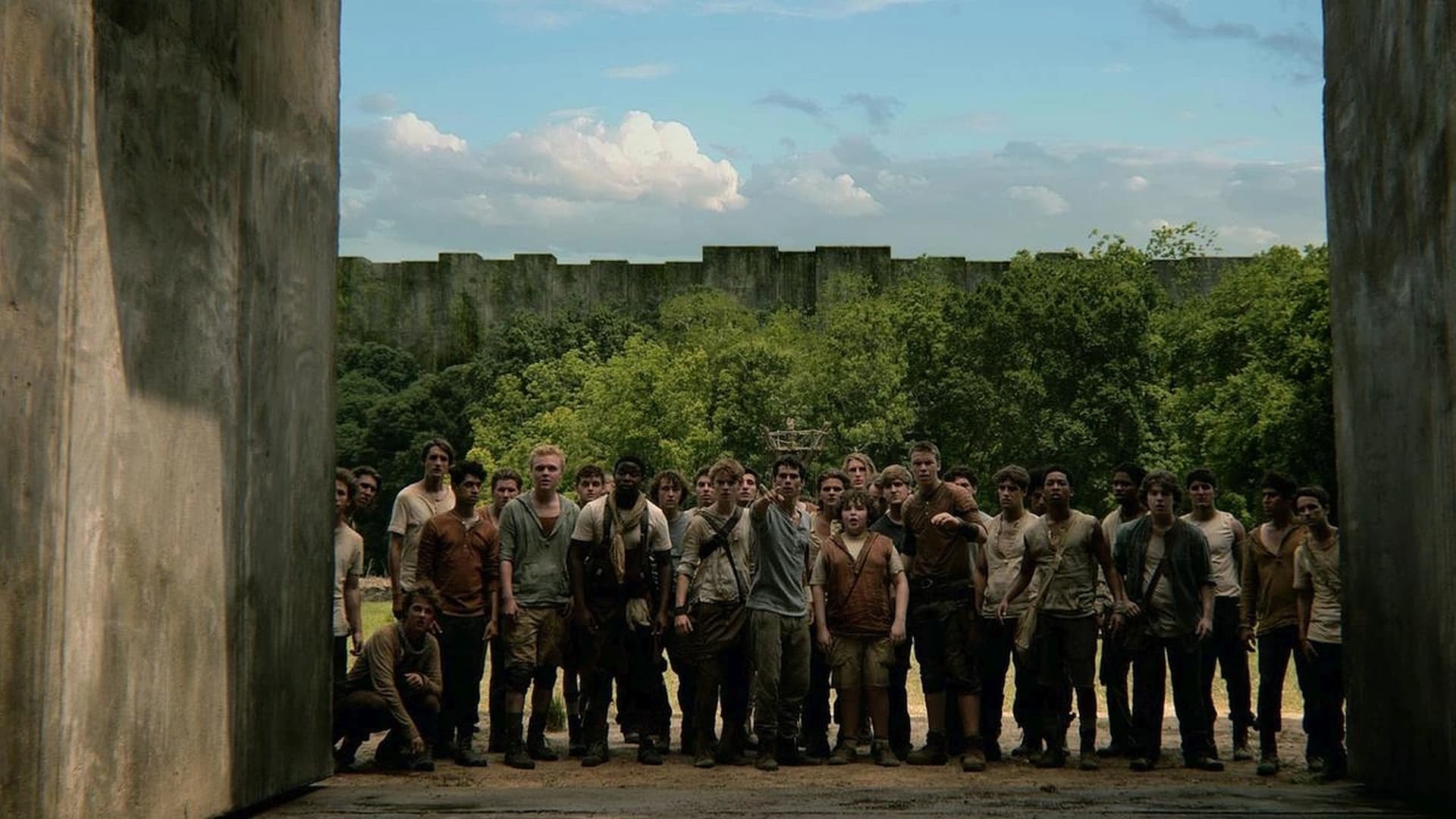 Immagine Maze Runner - Il labirinto - Poster - Sfondi