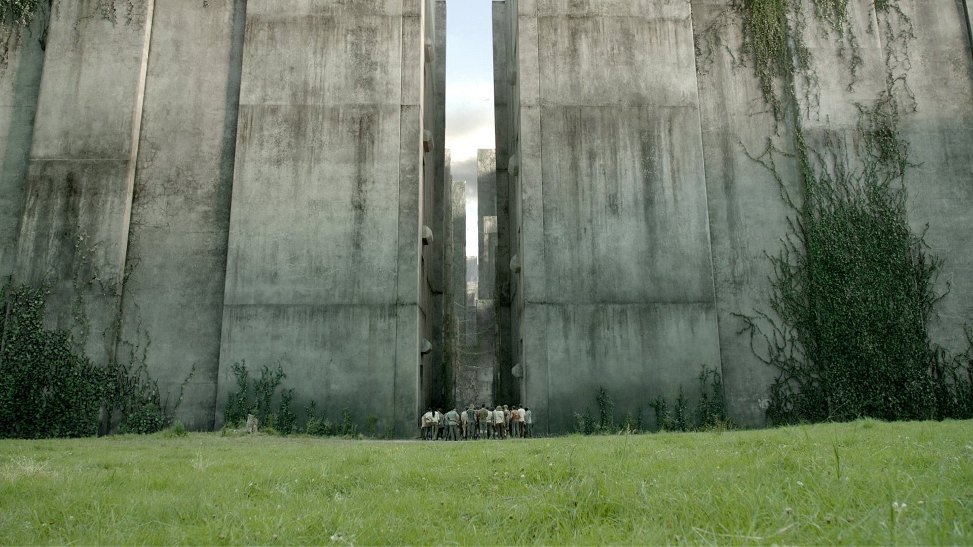 Immagine Maze Runner - Il labirinto - Poster - Sfondi