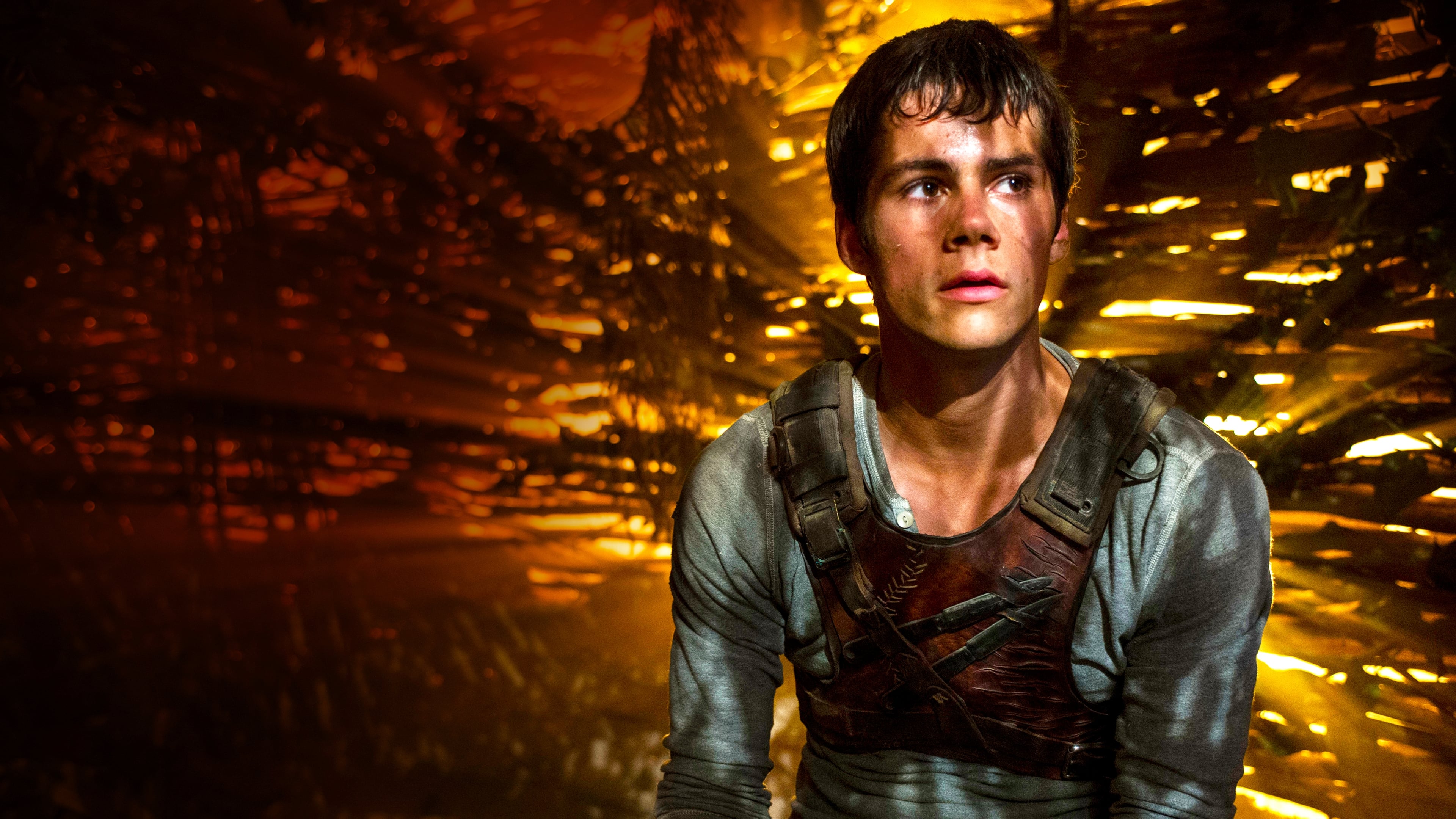 Immagine Maze Runner - Il labirinto - Poster - Sfondi