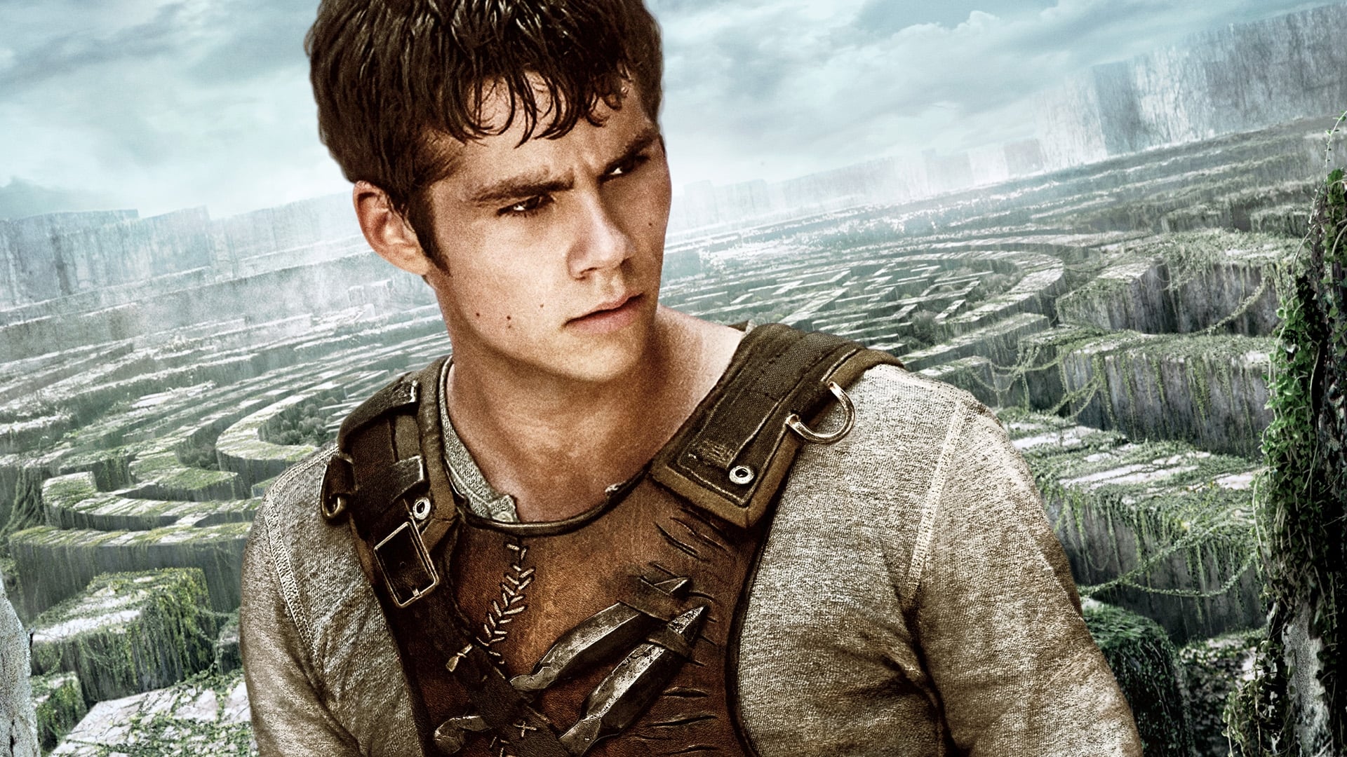 Immagine Maze Runner - Il labirinto - Poster - Sfondi