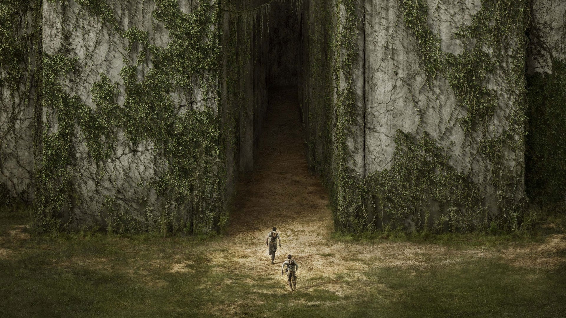 Immagine Maze Runner - Il labirinto - Poster - Sfondi