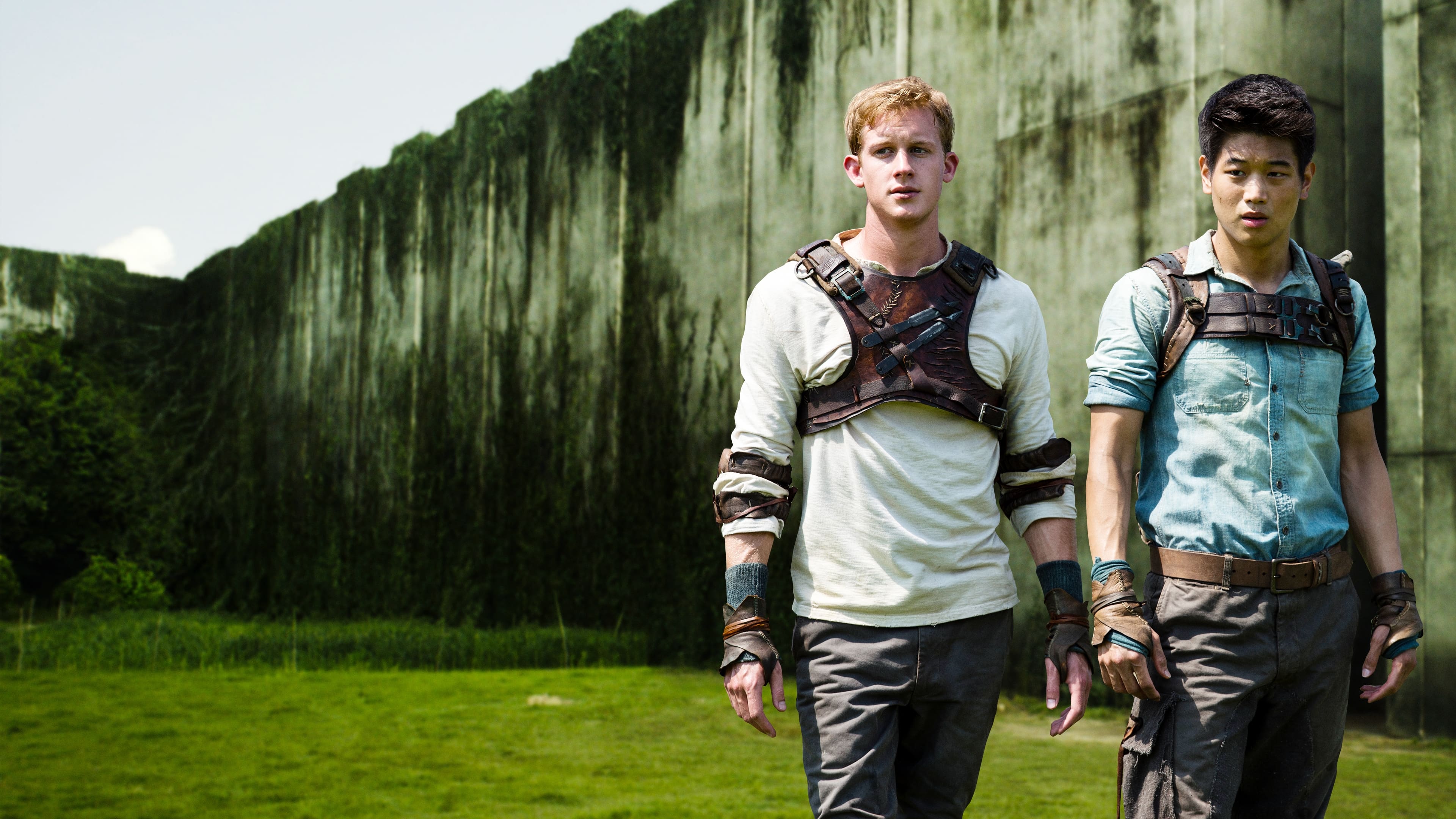 Immagine Maze Runner - Il labirinto - Poster - Sfondi