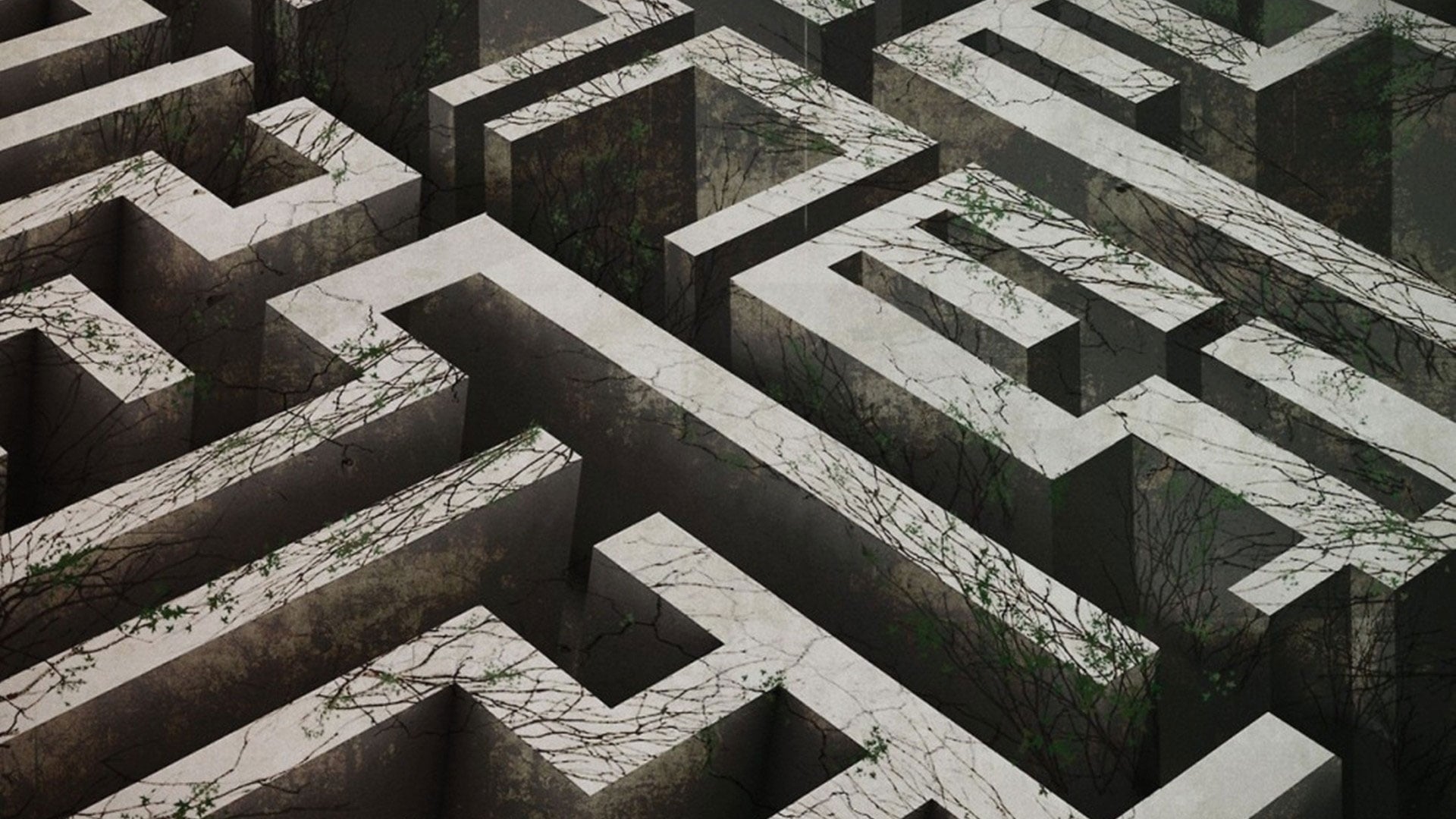 Immagine Maze Runner - Il labirinto - Poster - Sfondi