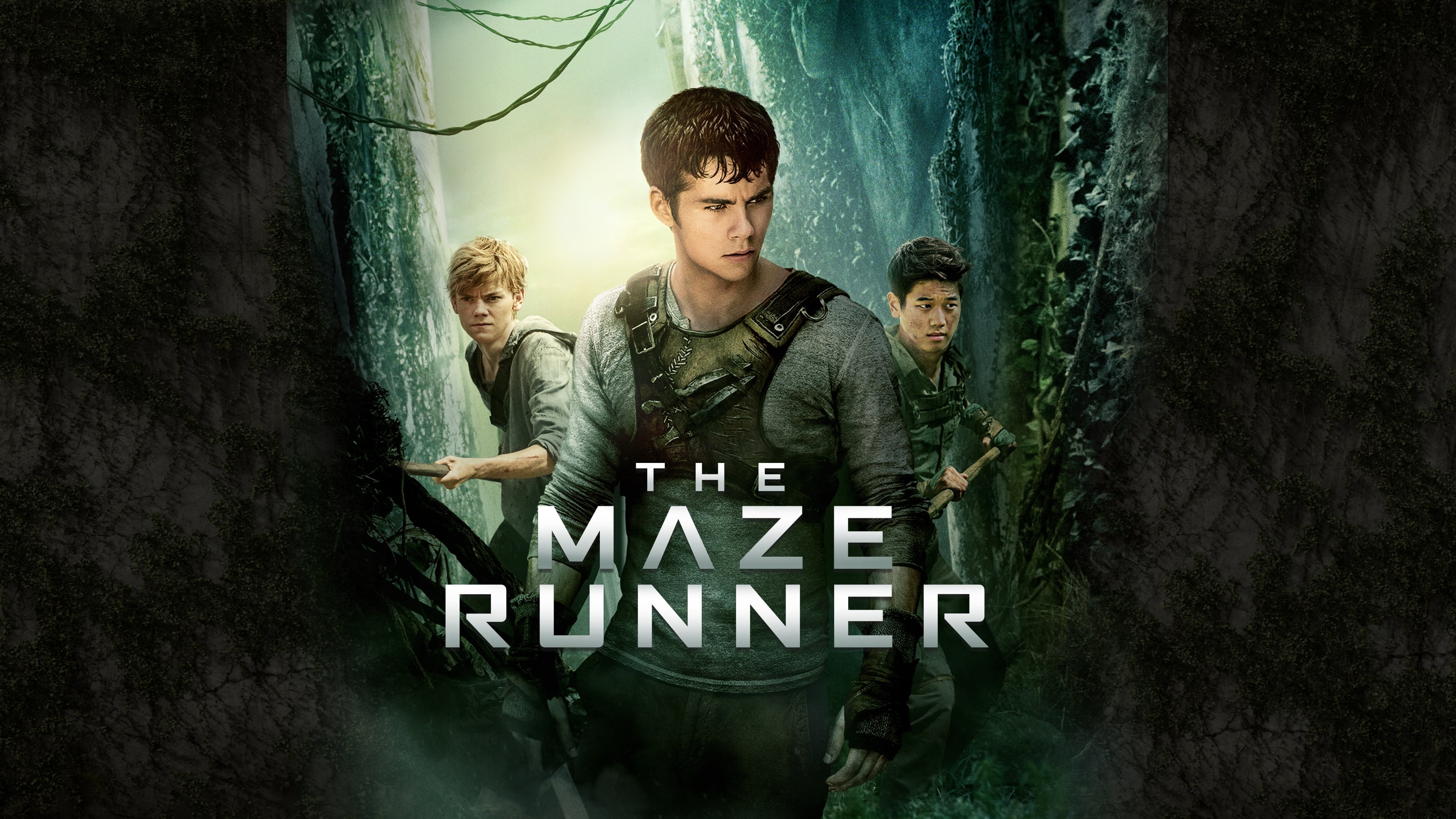 Immagine Maze Runner - Il labirinto - Poster - Sfondi