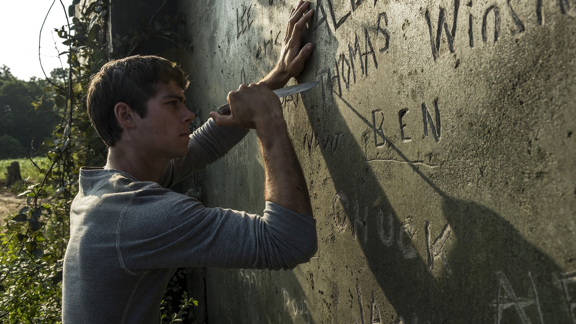 Immagine Maze Runner - Il labirinto - Poster - Sfondi