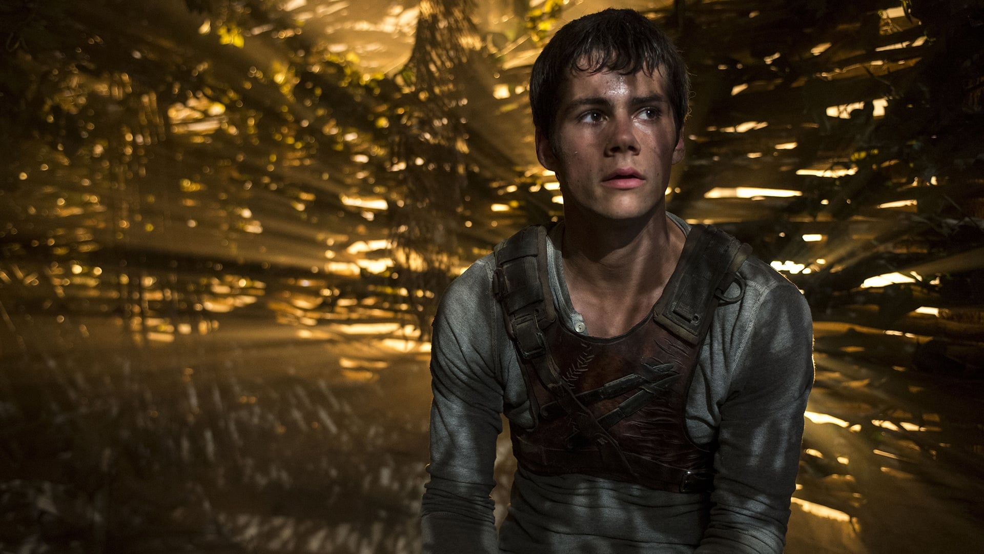 Immagine Maze Runner - Il labirinto - Poster - Sfondi