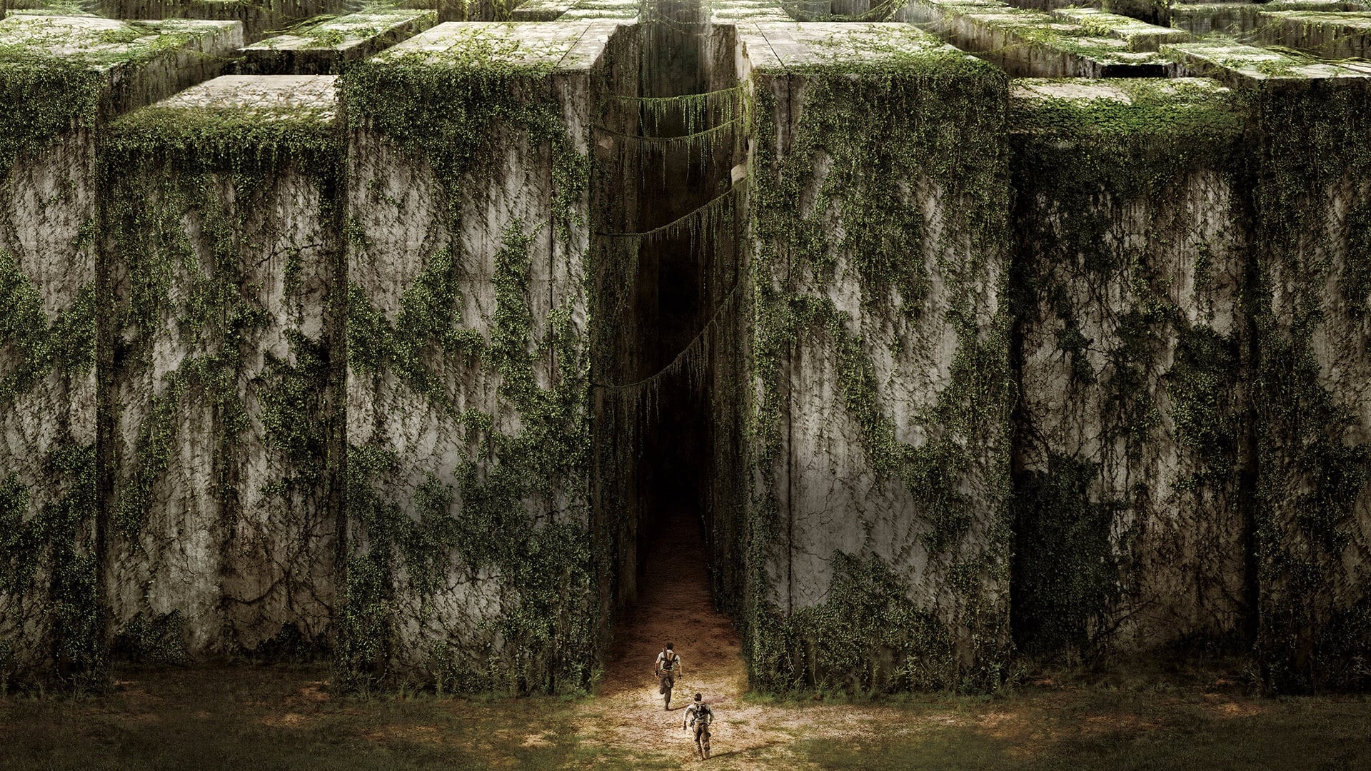 Immagine Maze Runner - Il labirinto - Poster - Sfondi