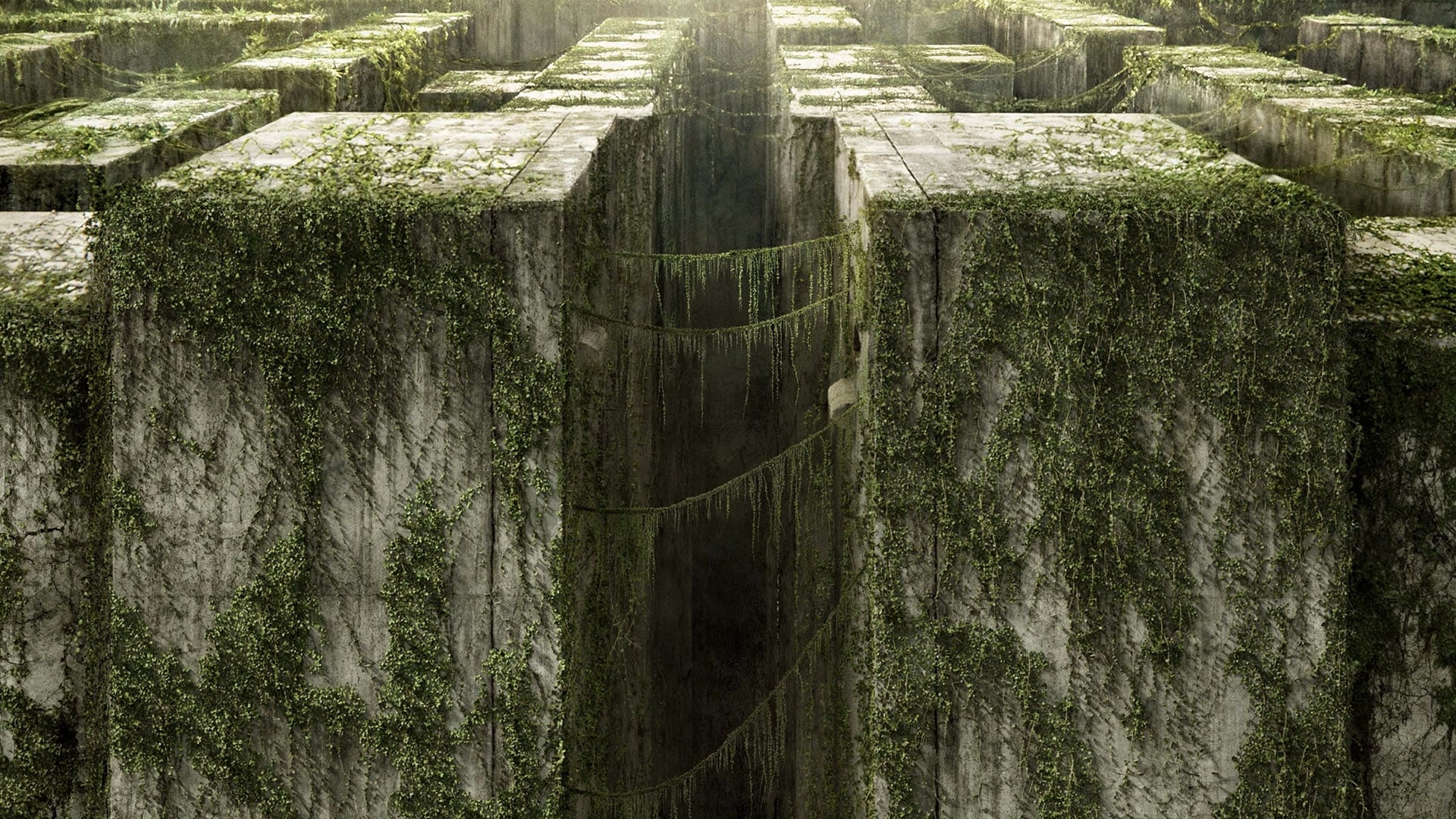 Immagine Maze Runner - Il labirinto - Poster - Sfondi