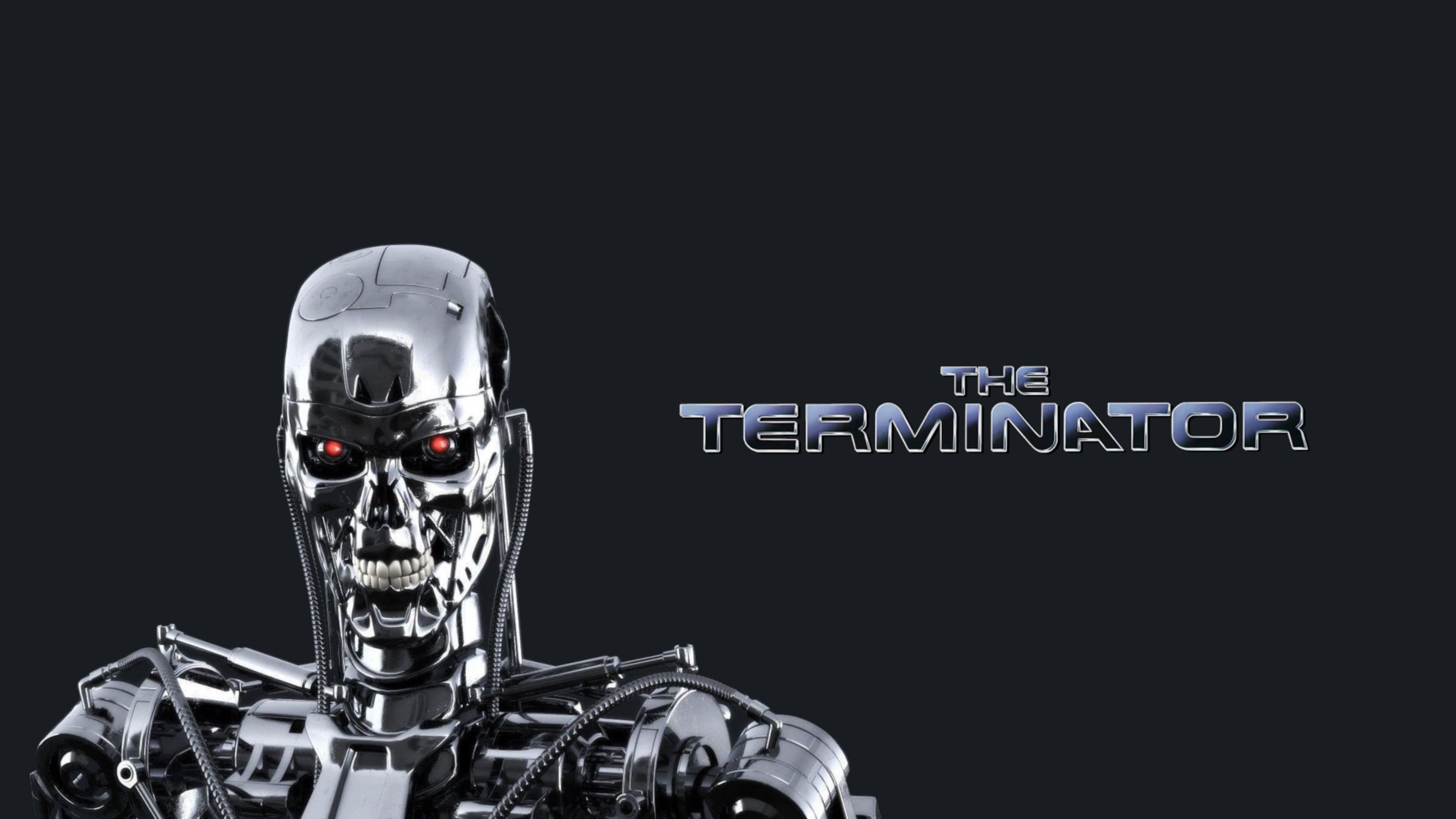 Immagine Terminator - Poster - Sfondi