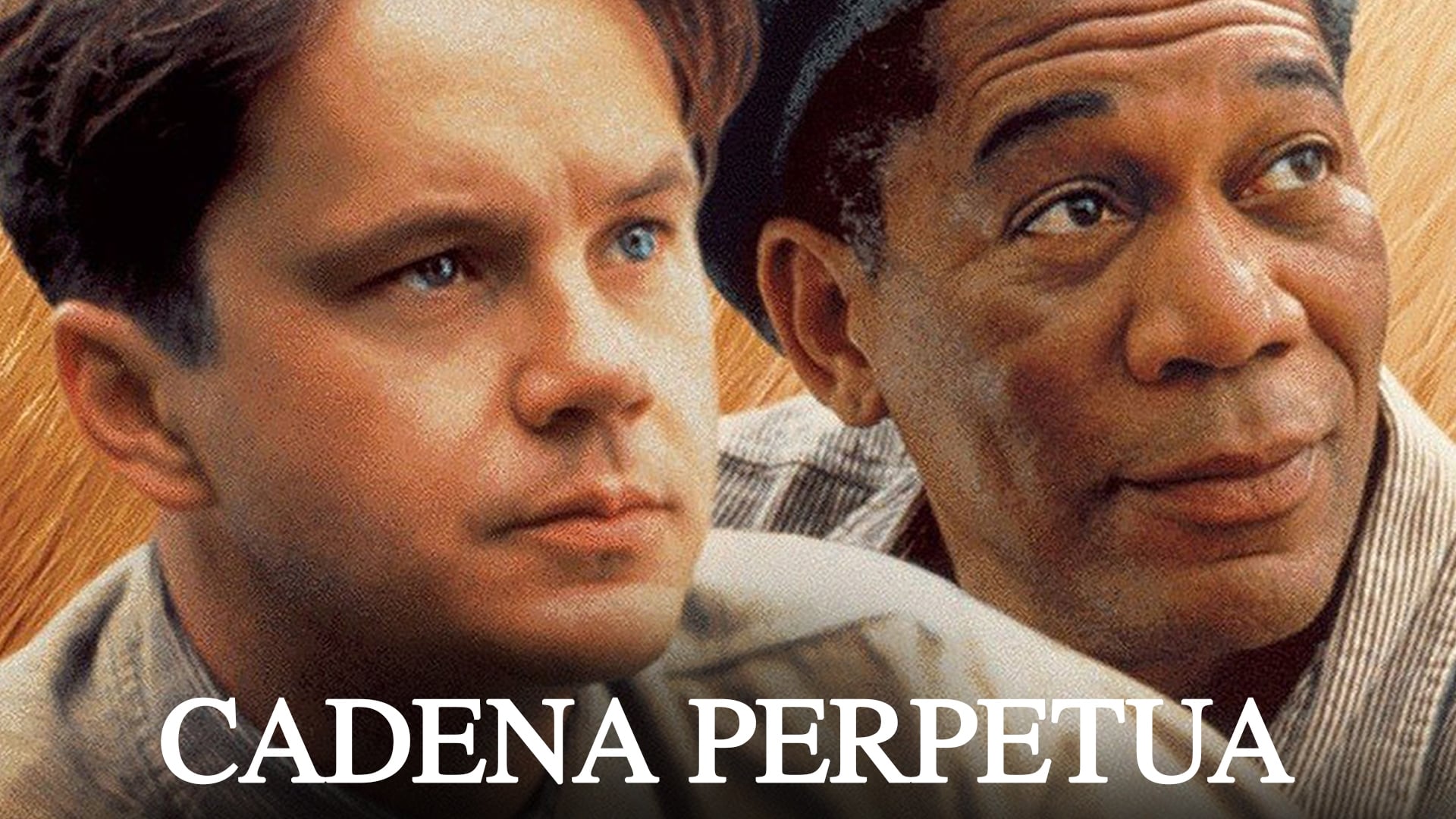Immagine Le ali della libertà - Poster - Sfondi