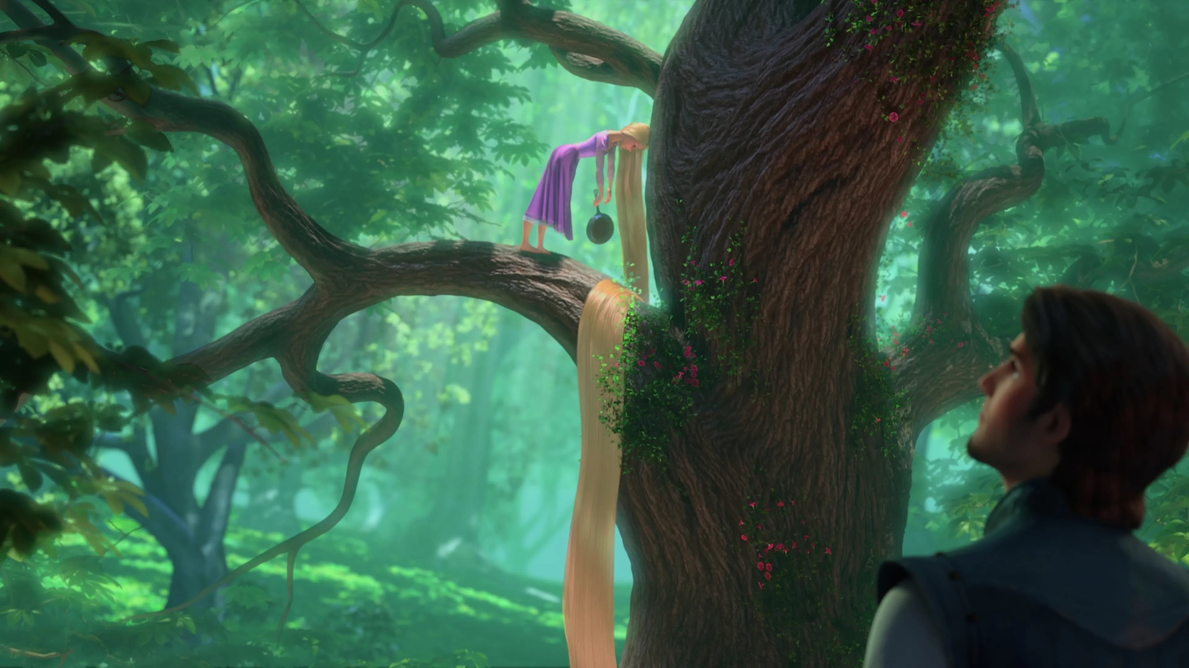 Immagine Rapunzel - L'intreccio della torre - Poster - Sfondi