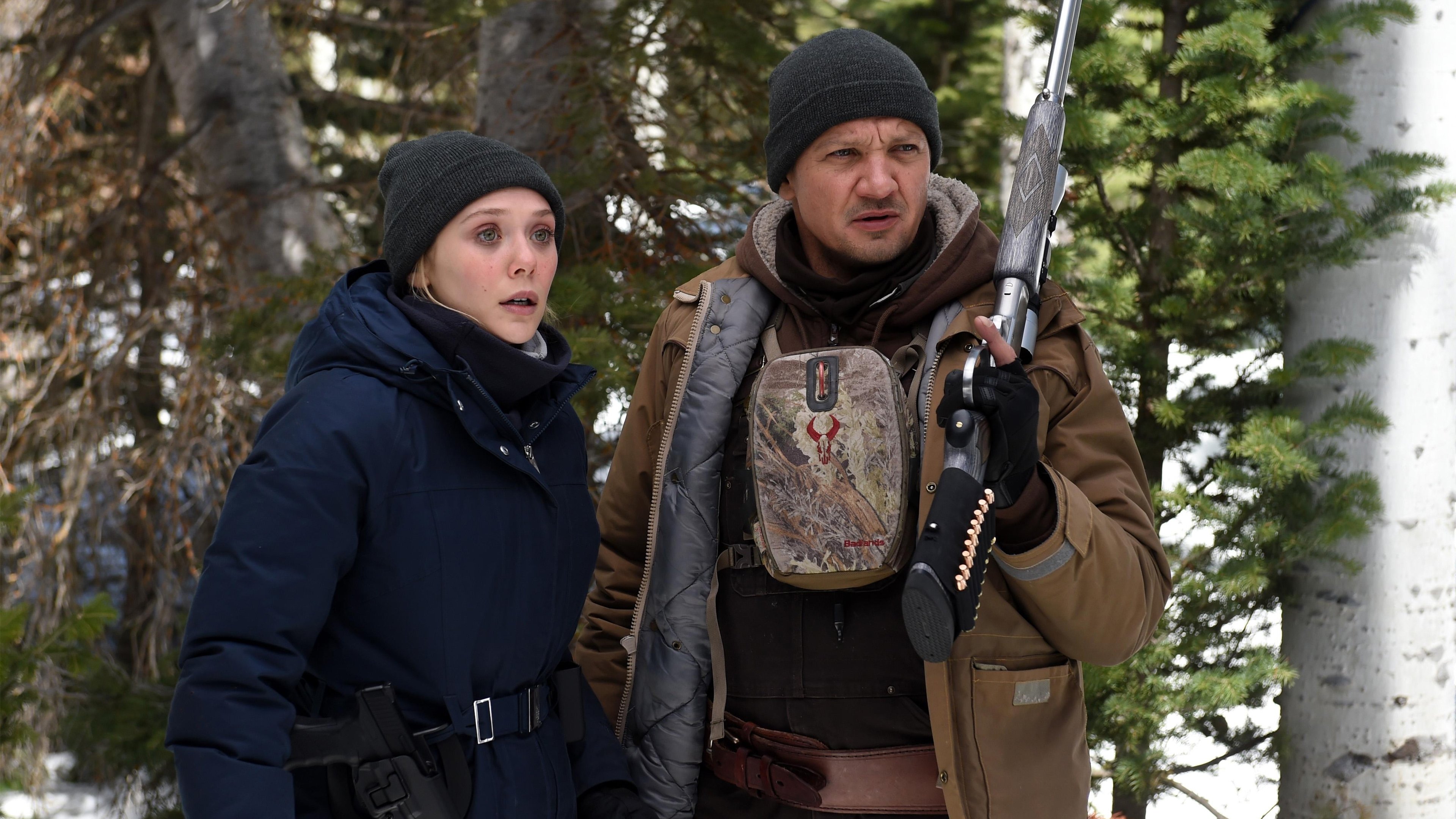 Immagine I segreti di Wind River - Poster - Sfondi