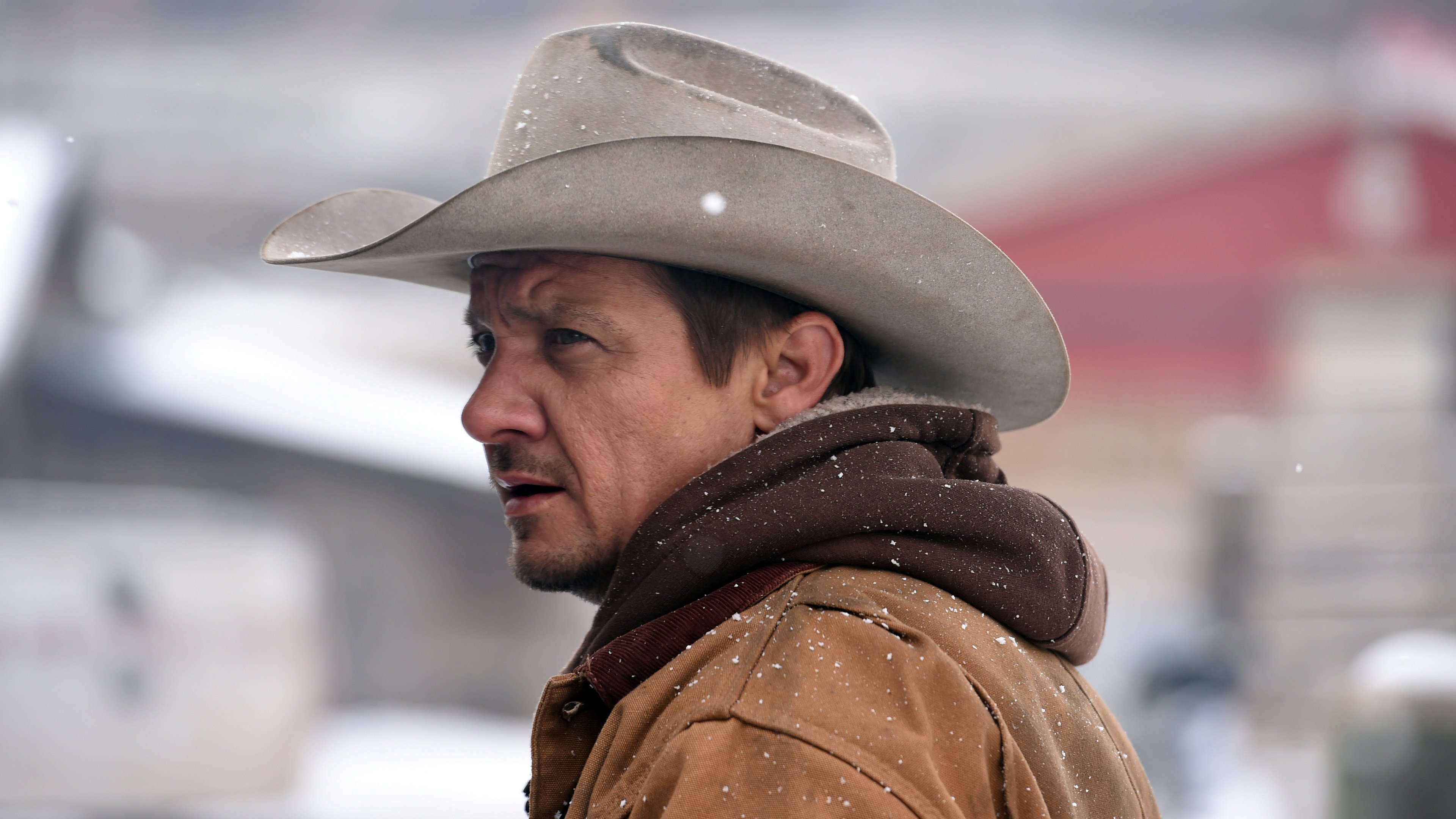 Immagine I segreti di Wind River - Poster - Sfondi