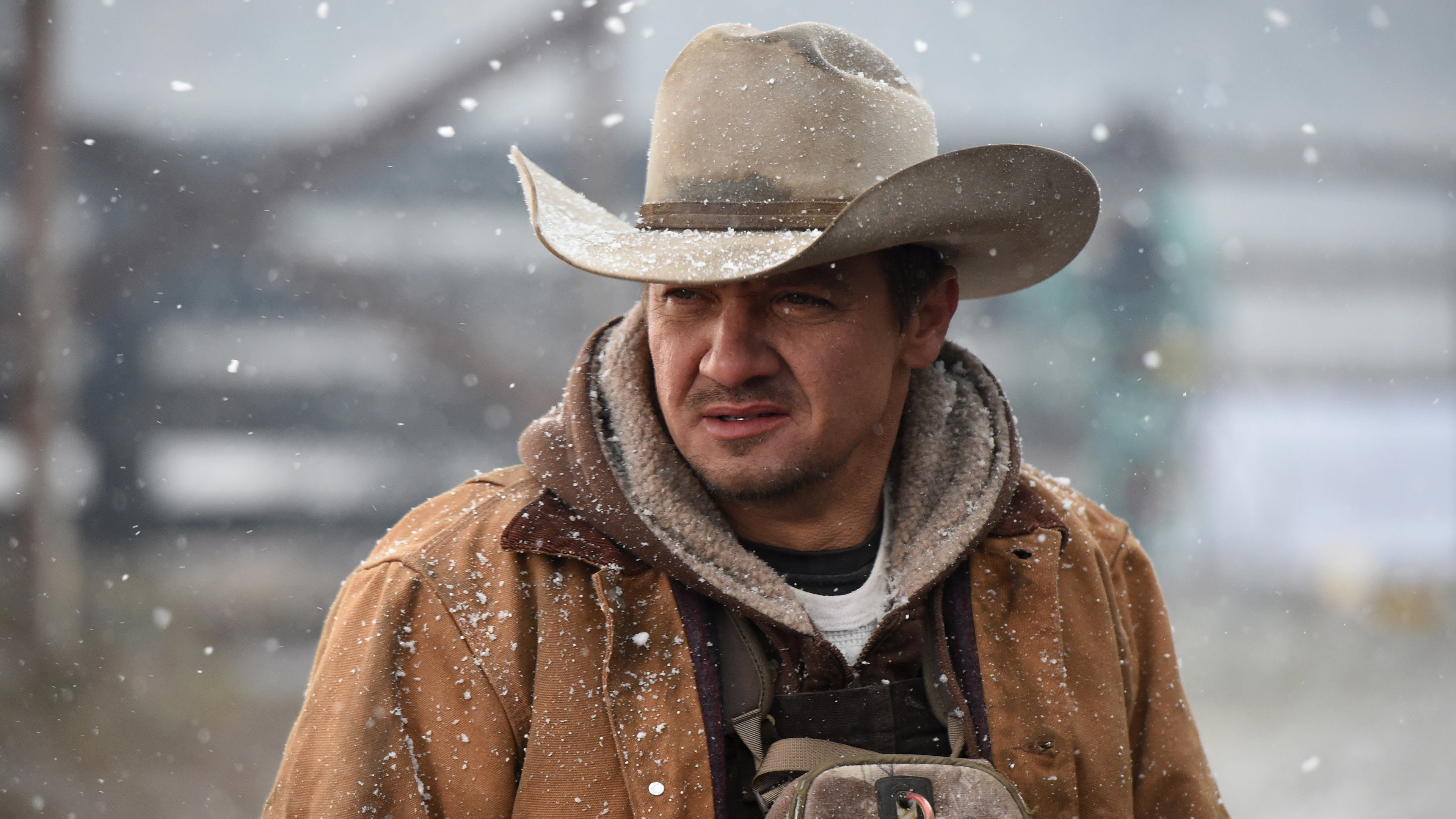 Immagine I segreti di Wind River - Poster - Sfondi