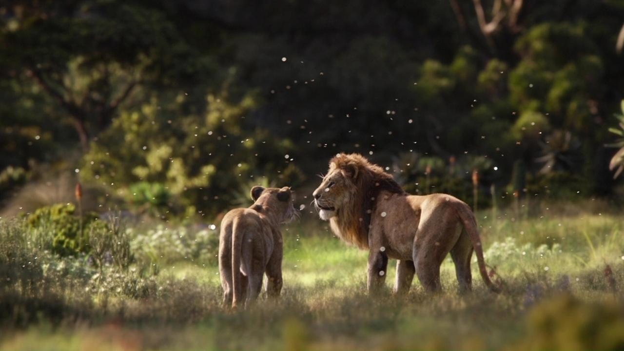 Immagine Il re leone - Poster - Sfondi