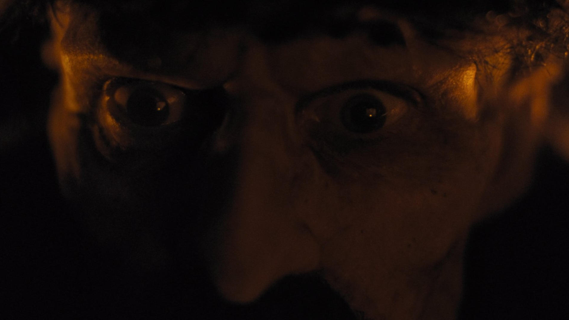 Immagine Nosferatu - Poster - Sfondi
