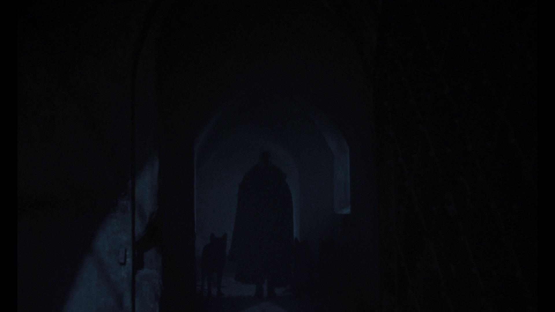 Immagine Nosferatu - Poster - Sfondi