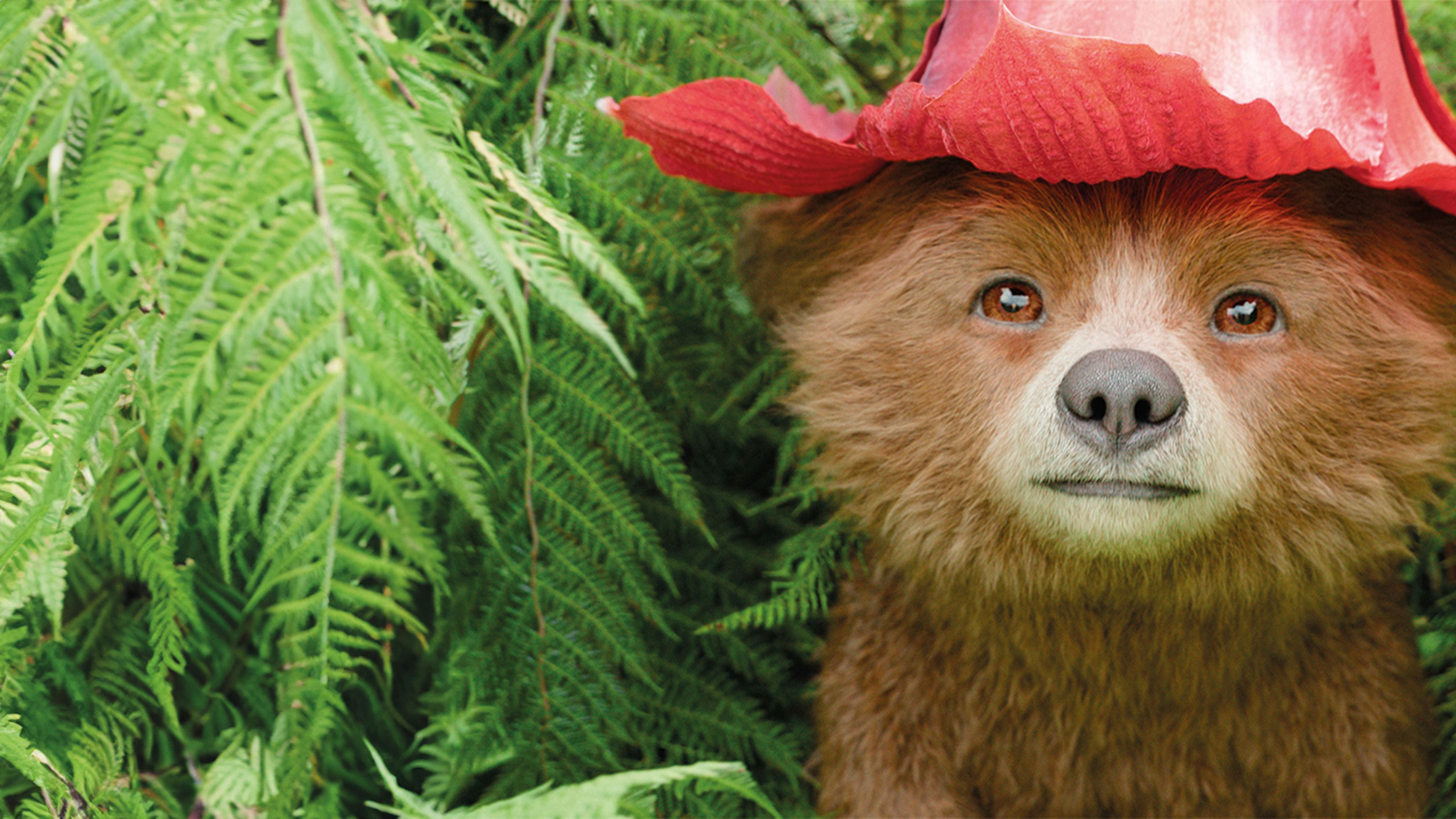 Immagine Paddington in Perù - Poster - Sfondi