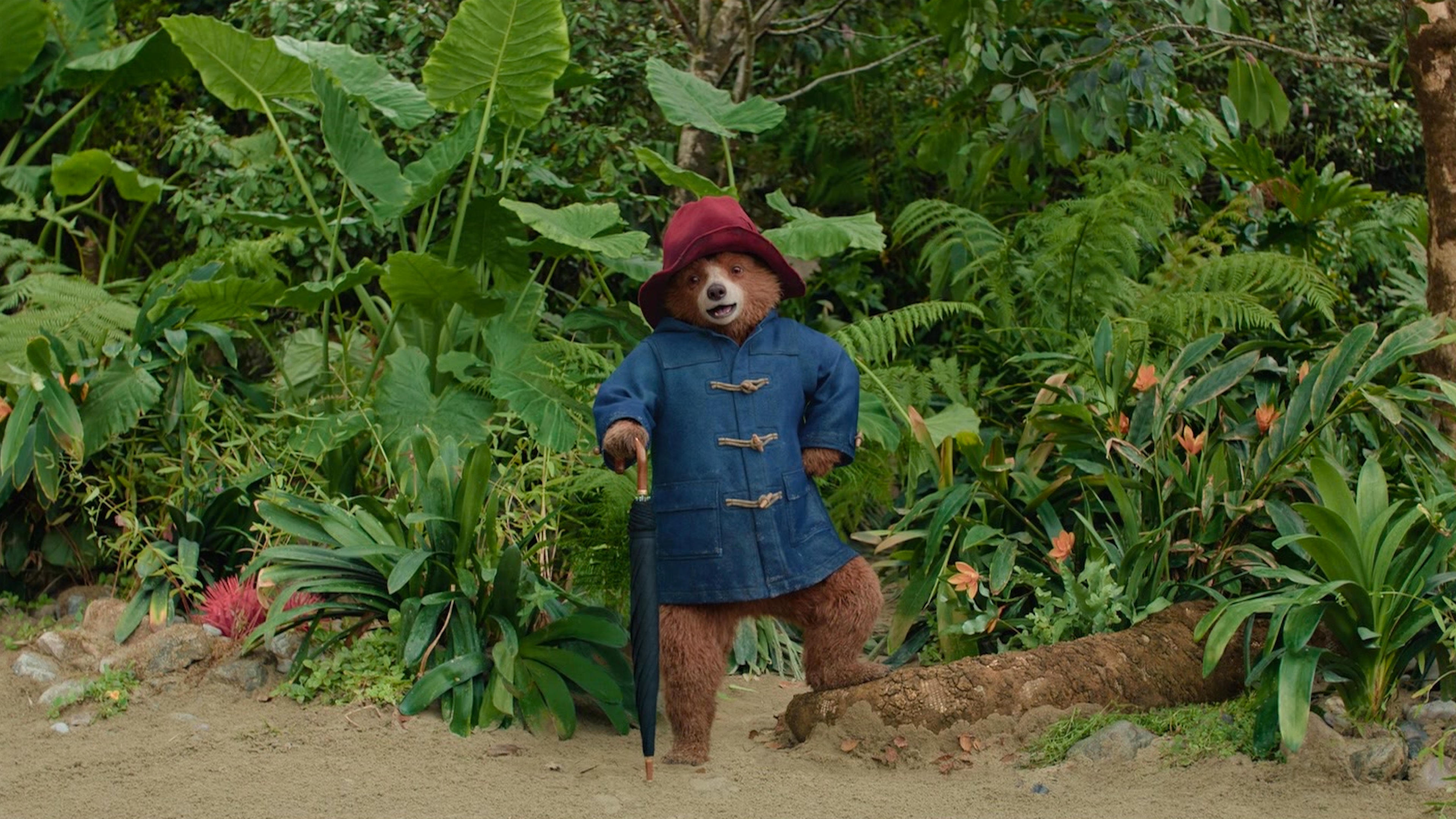 Immagine Paddington in Perù - Poster - Sfondi