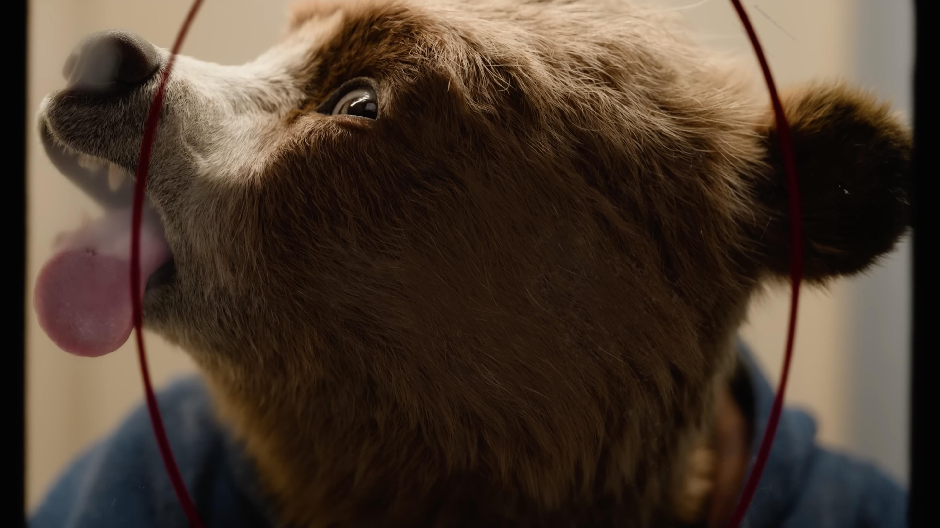 Immagine Paddington in Perù - Poster - Sfondi